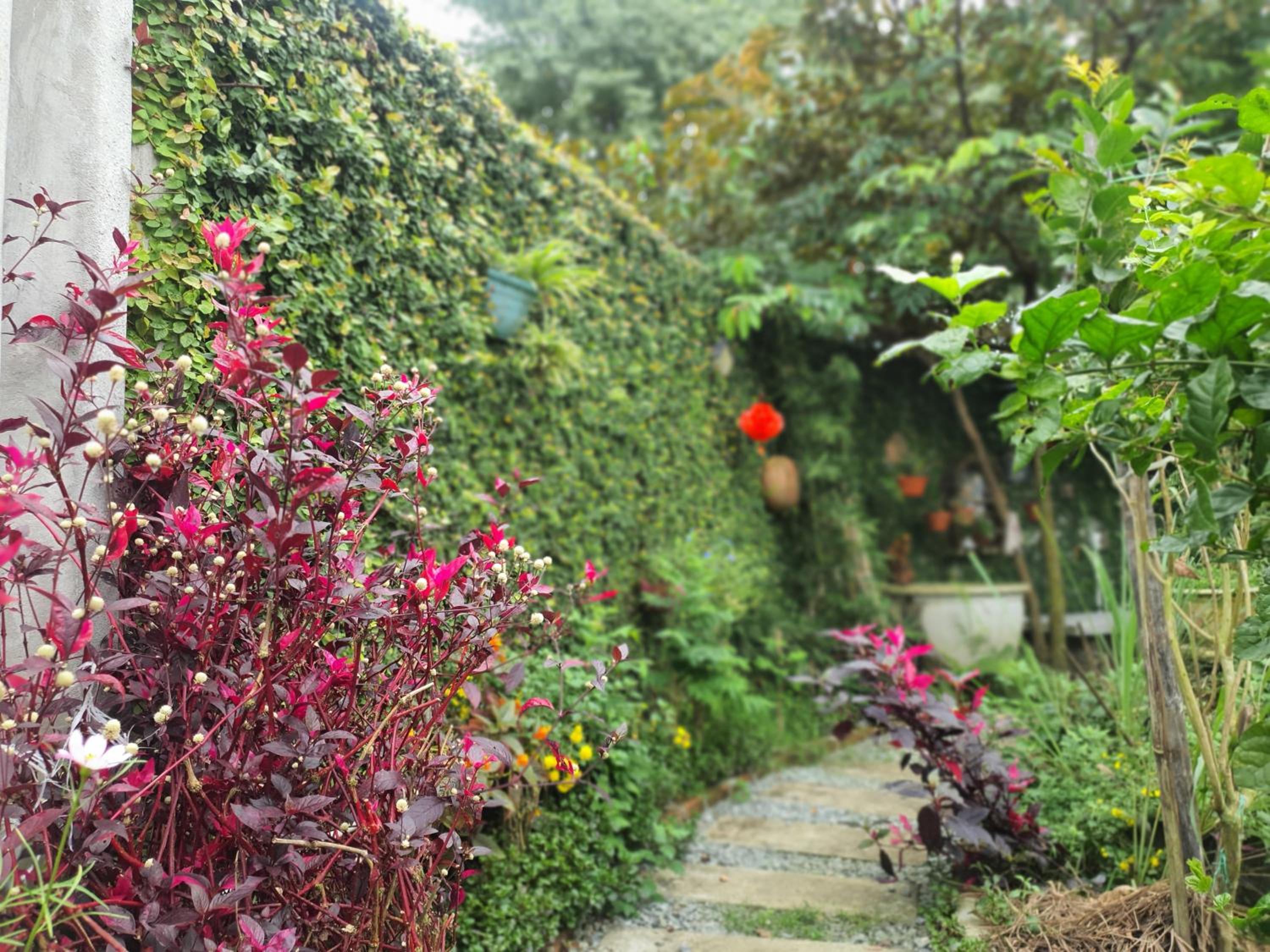 Vom Vom Garden House view 3