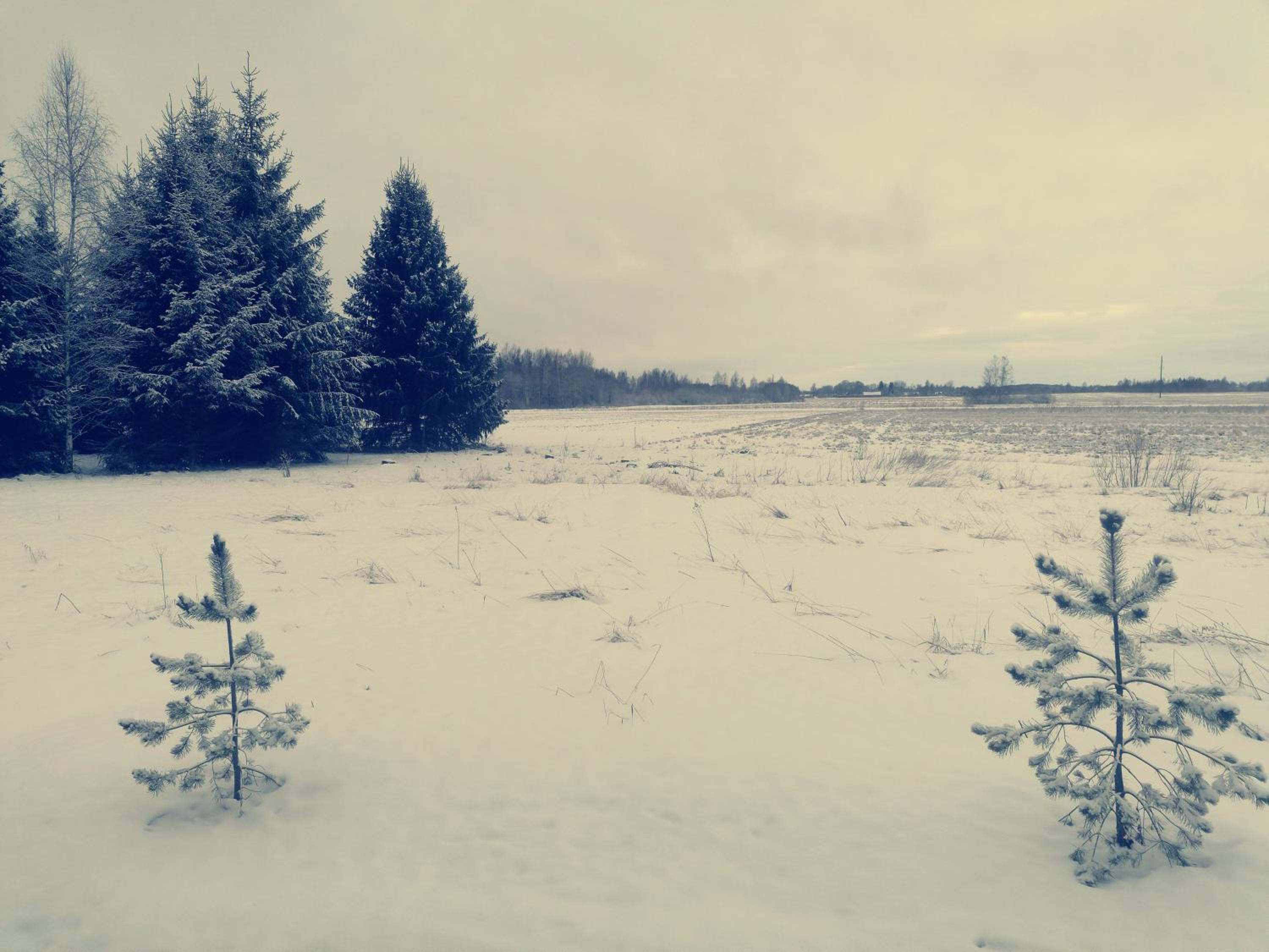 Tirtsu puhkemaja