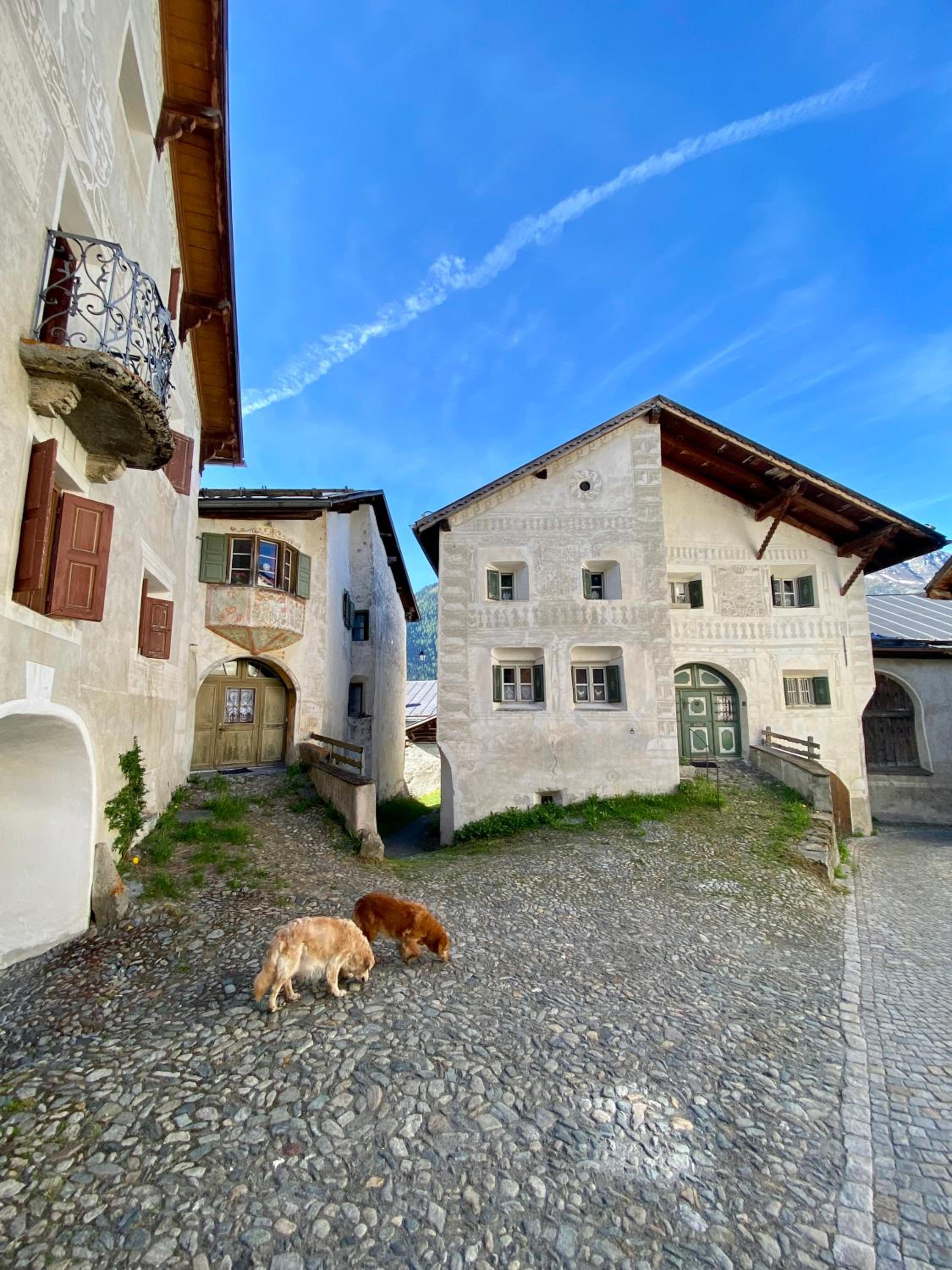 Photo 43