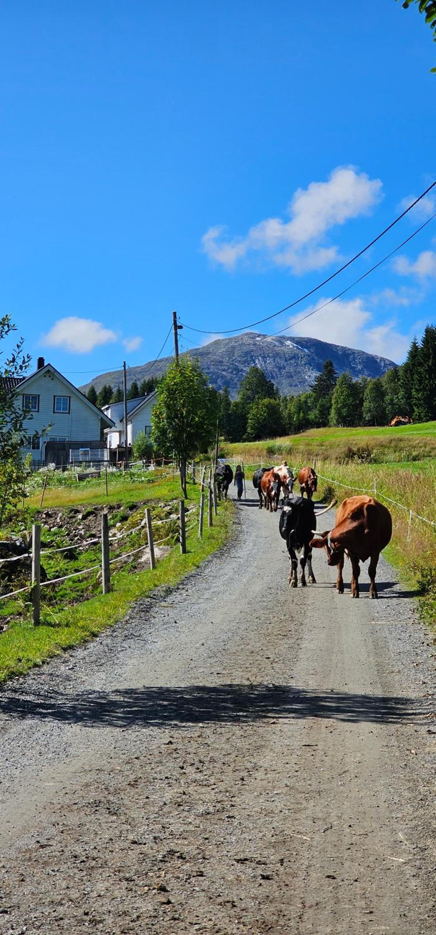 Holiday home among the pearls of Norway