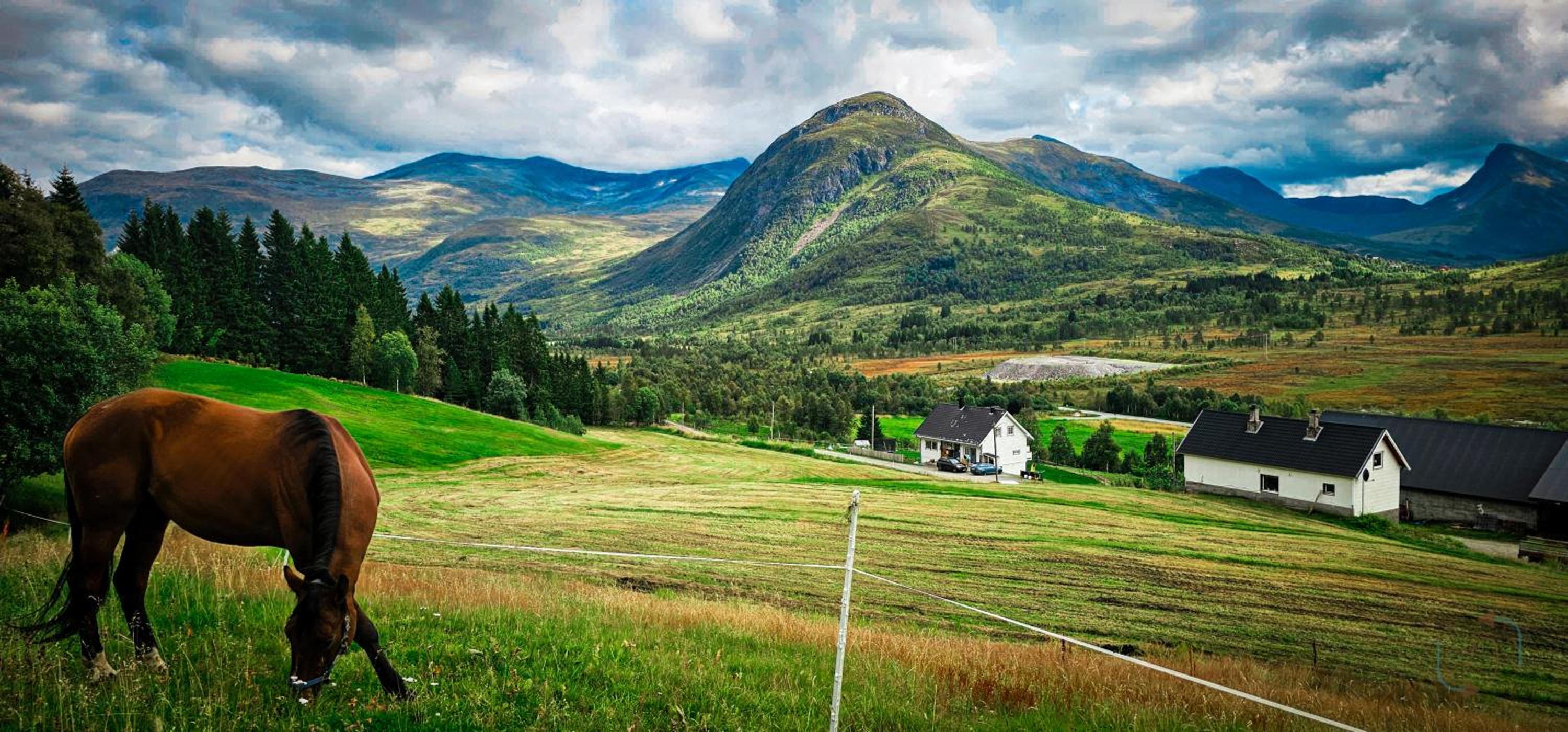 Holiday home among the pearls of Norway