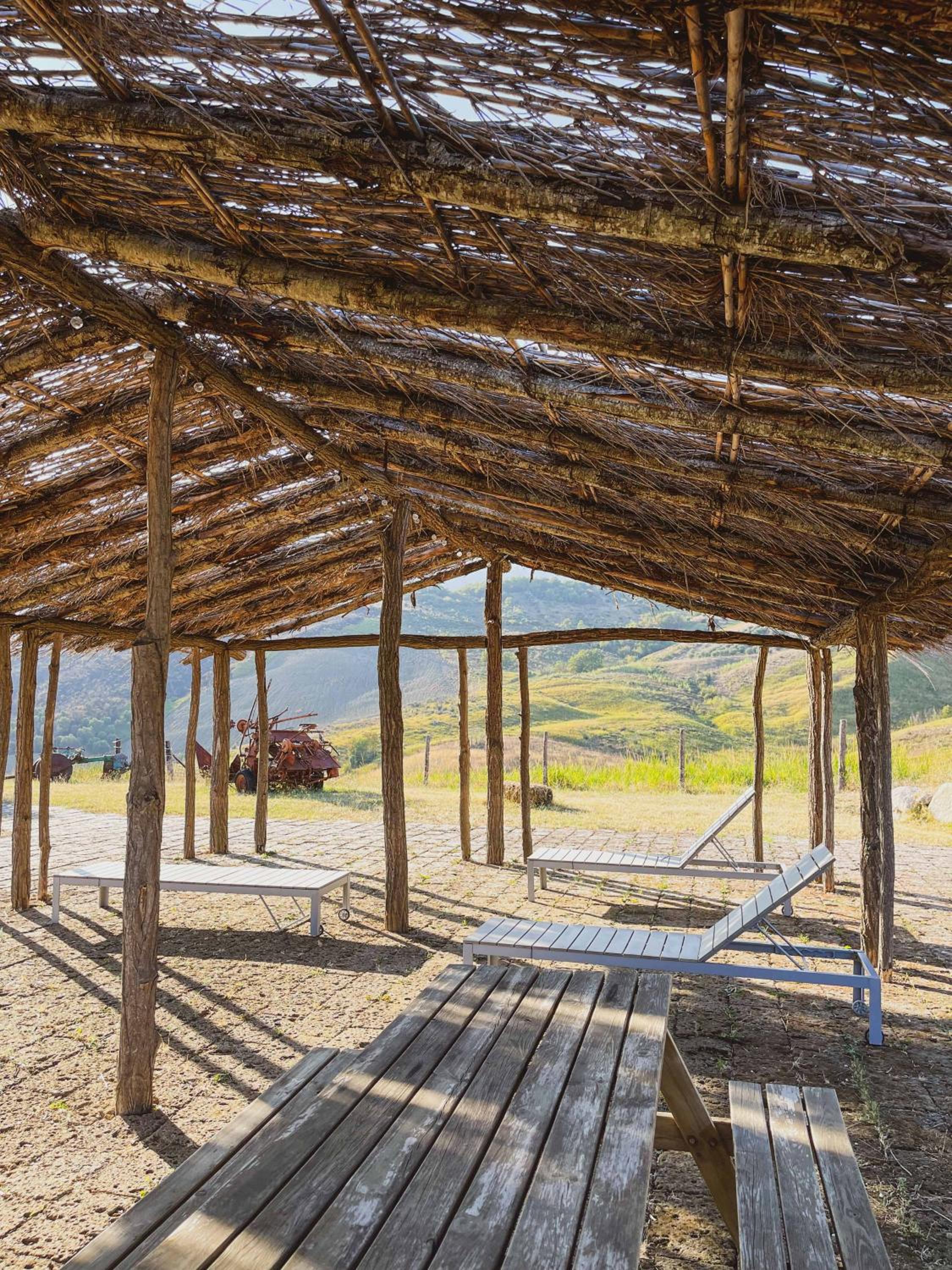 Azienda Agricola Pietra Pizzuta