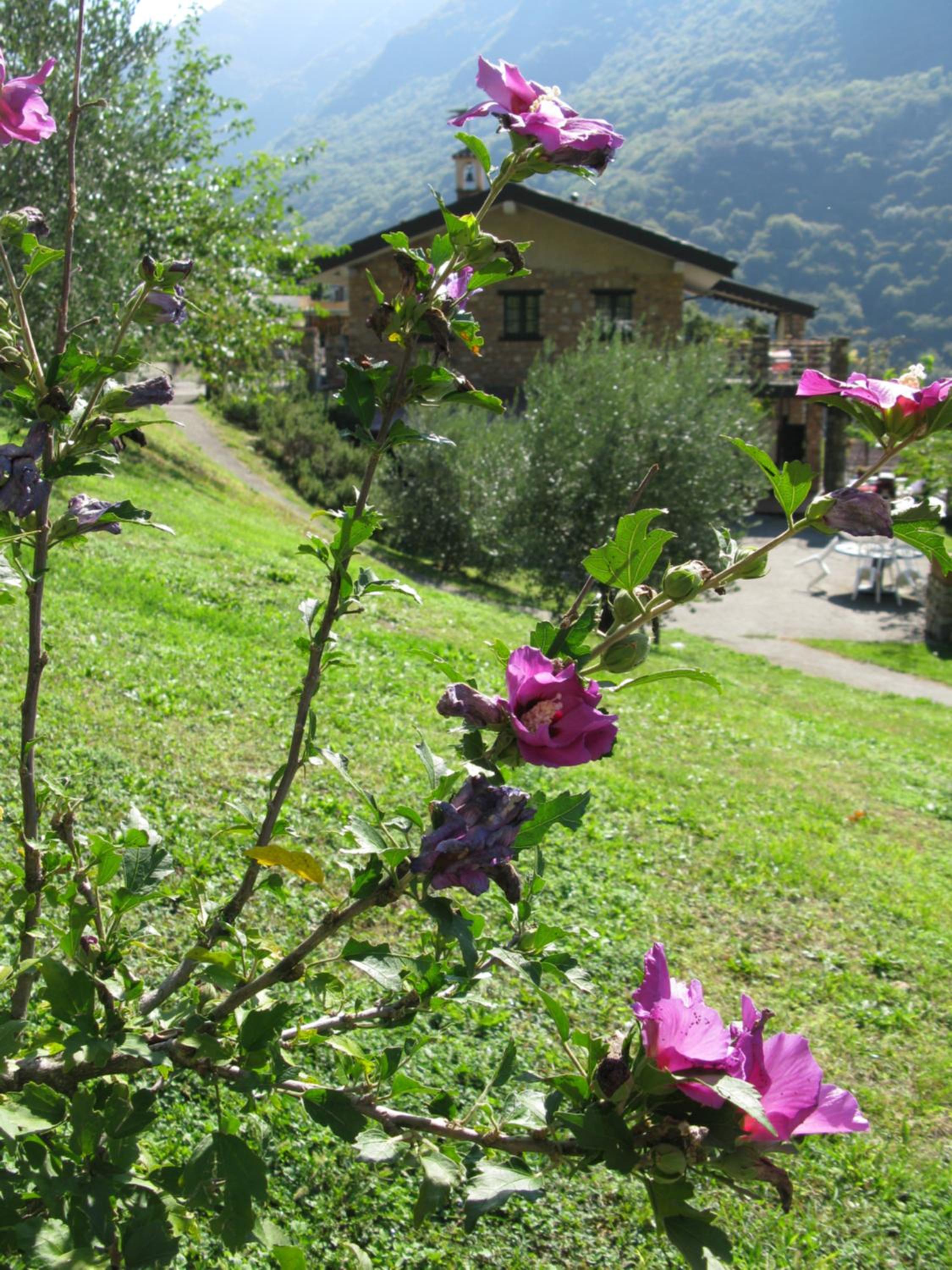 Photo 30