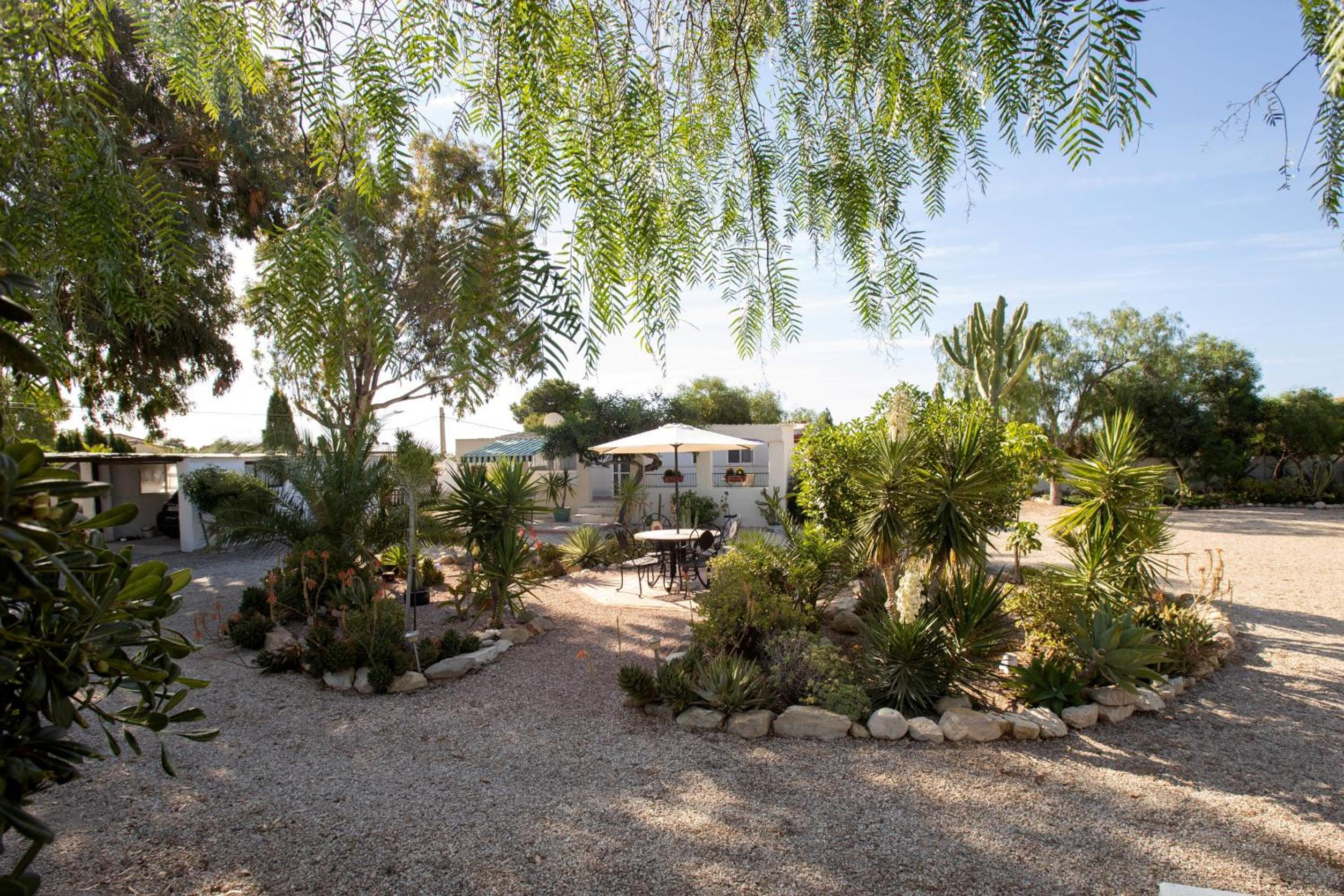 Garten und Pool