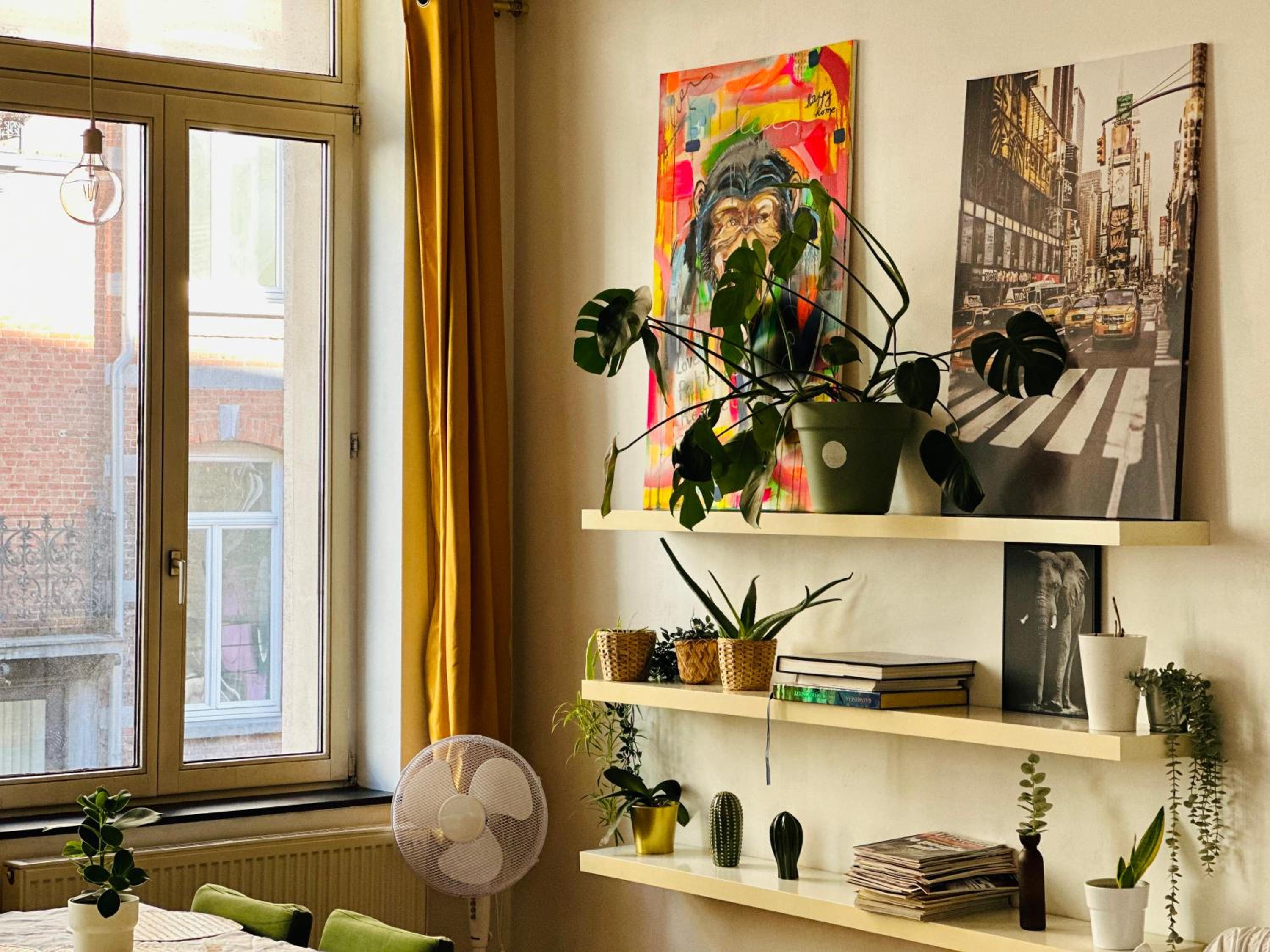 Down-Town 1 Bedroom Flat