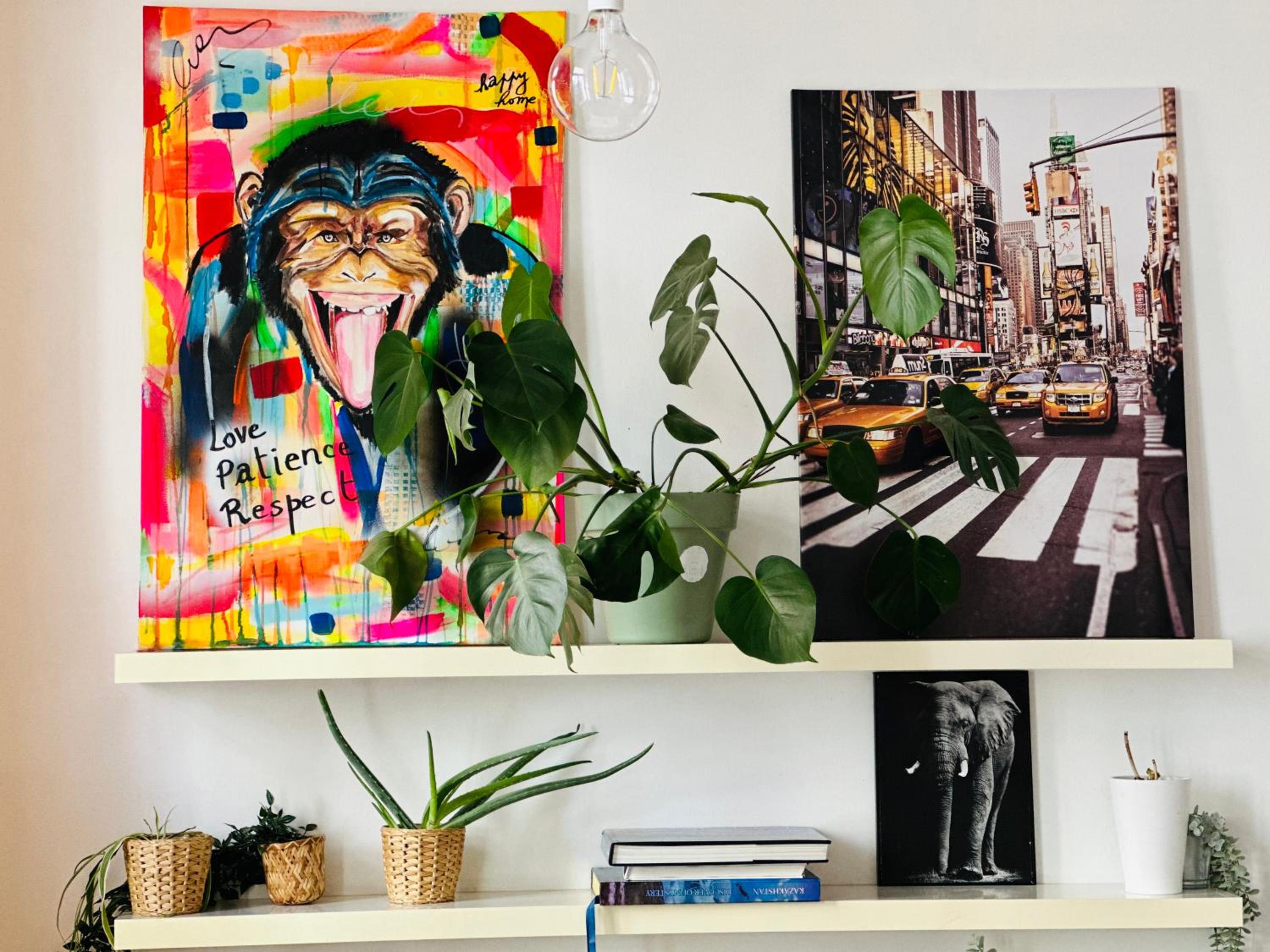Down-Town 1 Bedroom Flat