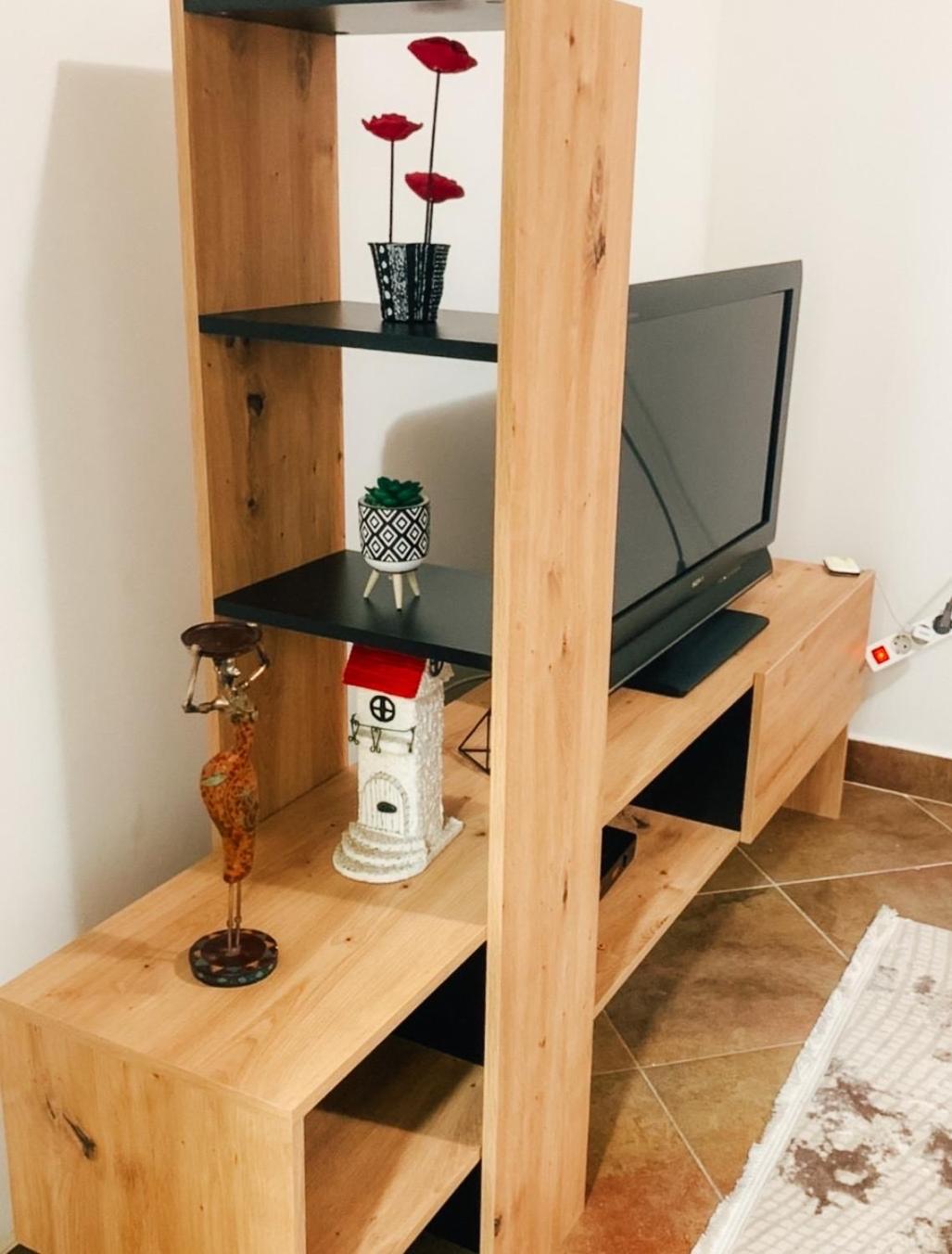 Podgorica city center apartment