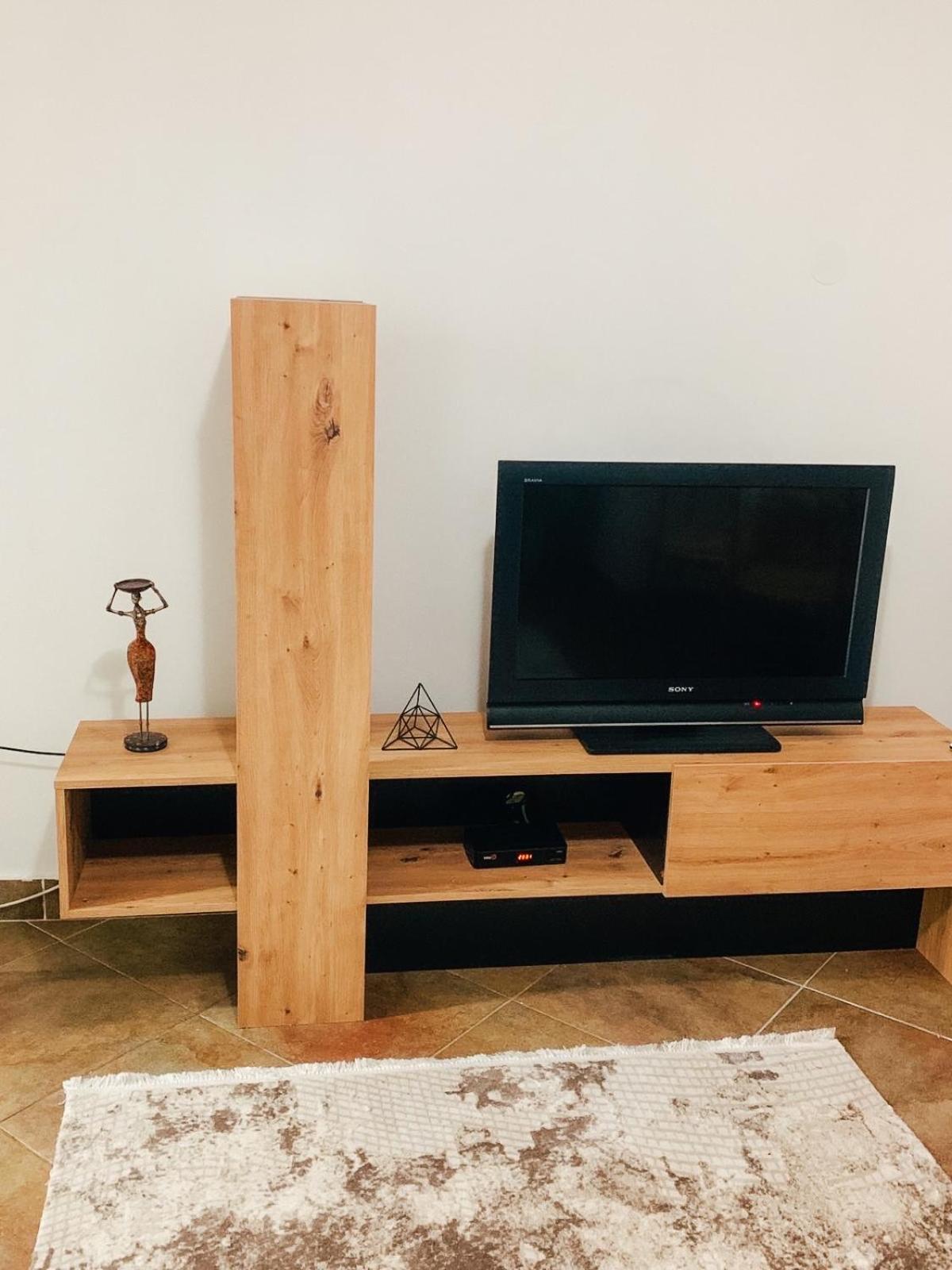 Podgorica city center apartment