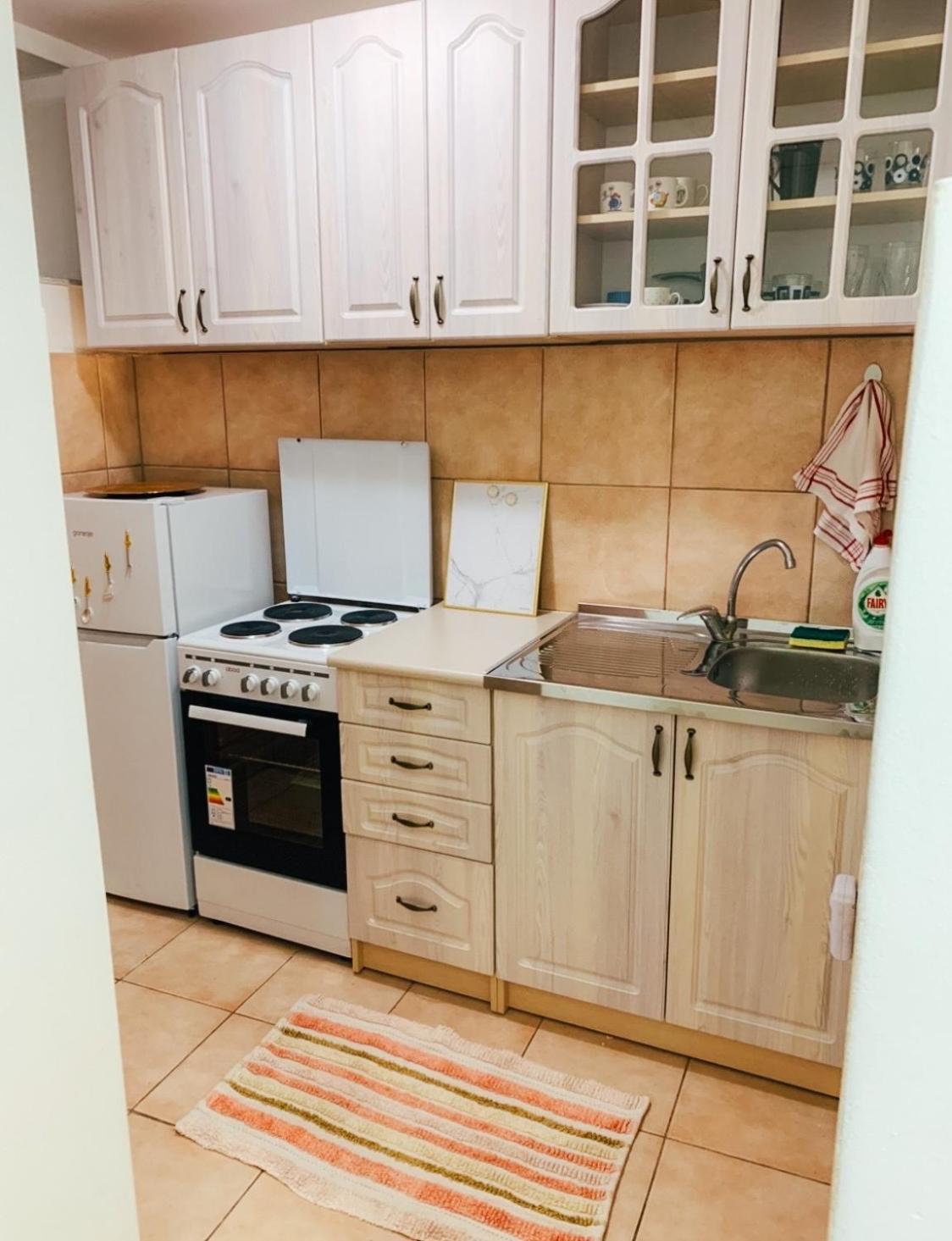 Podgorica city center apartment