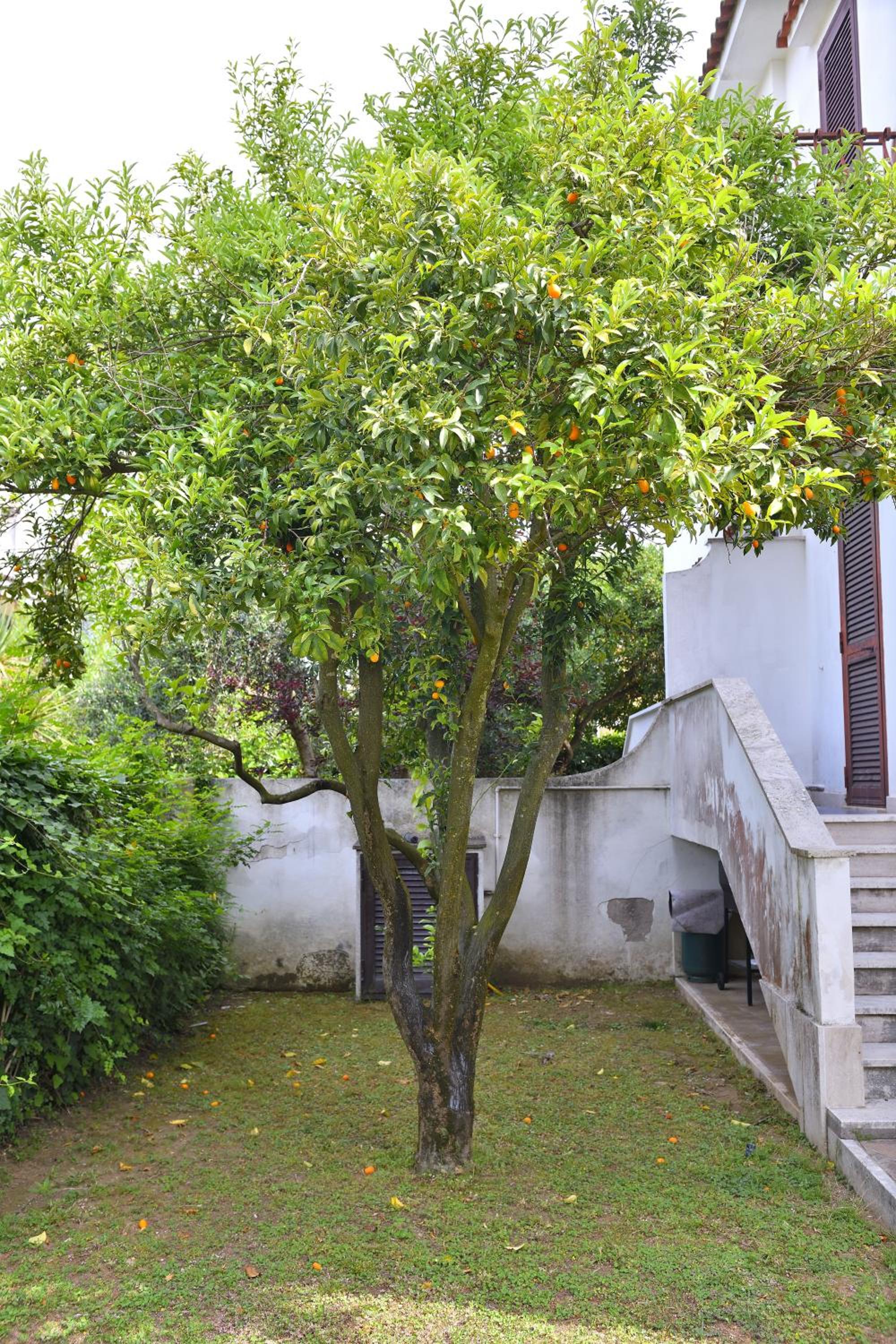 Photo 29