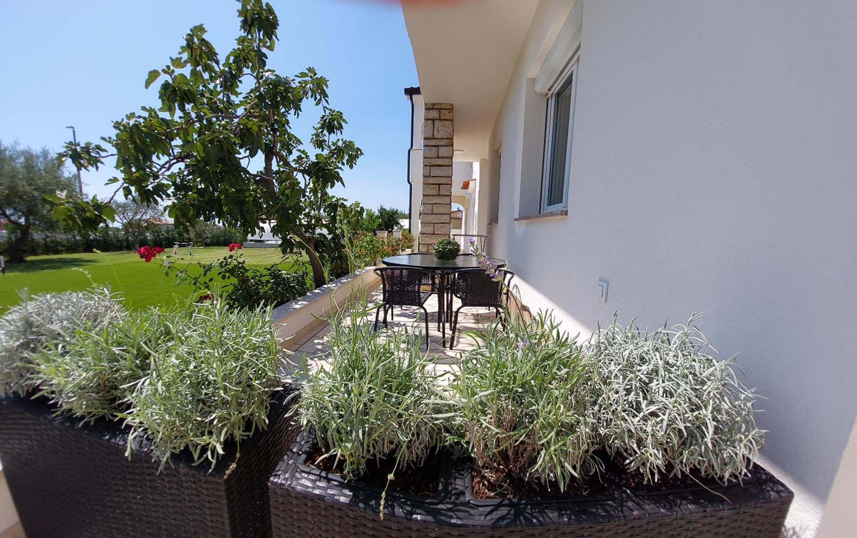 PALACE Apartments Poreč
