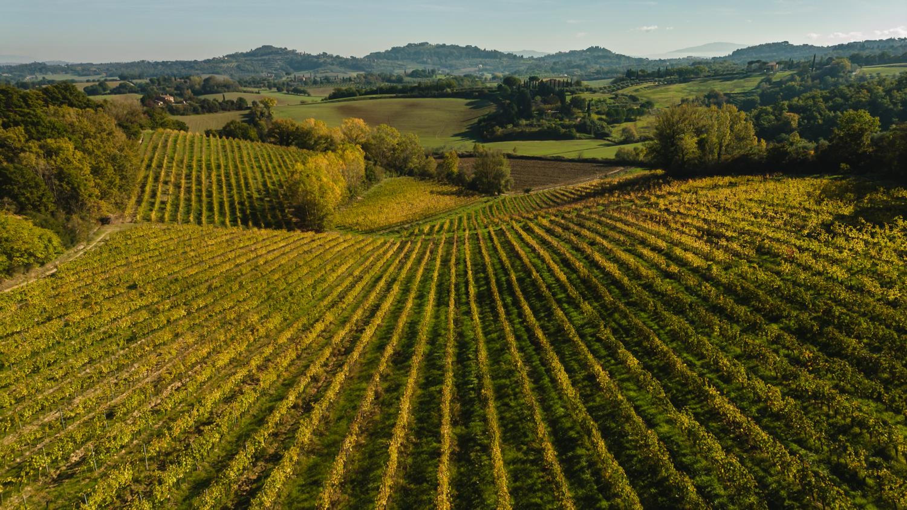 Agriturismo San Gregorio view 3