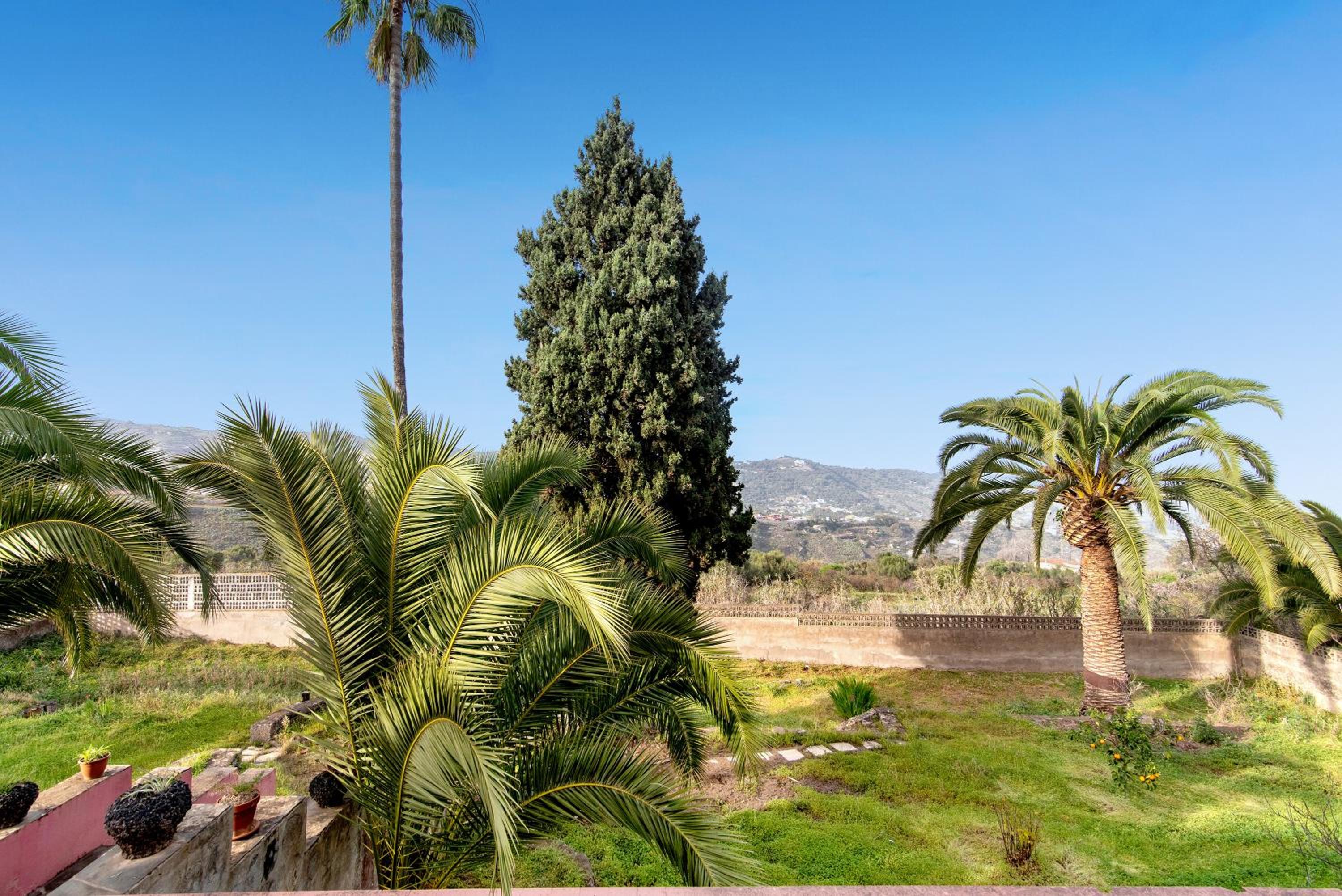 Finca Madroñal