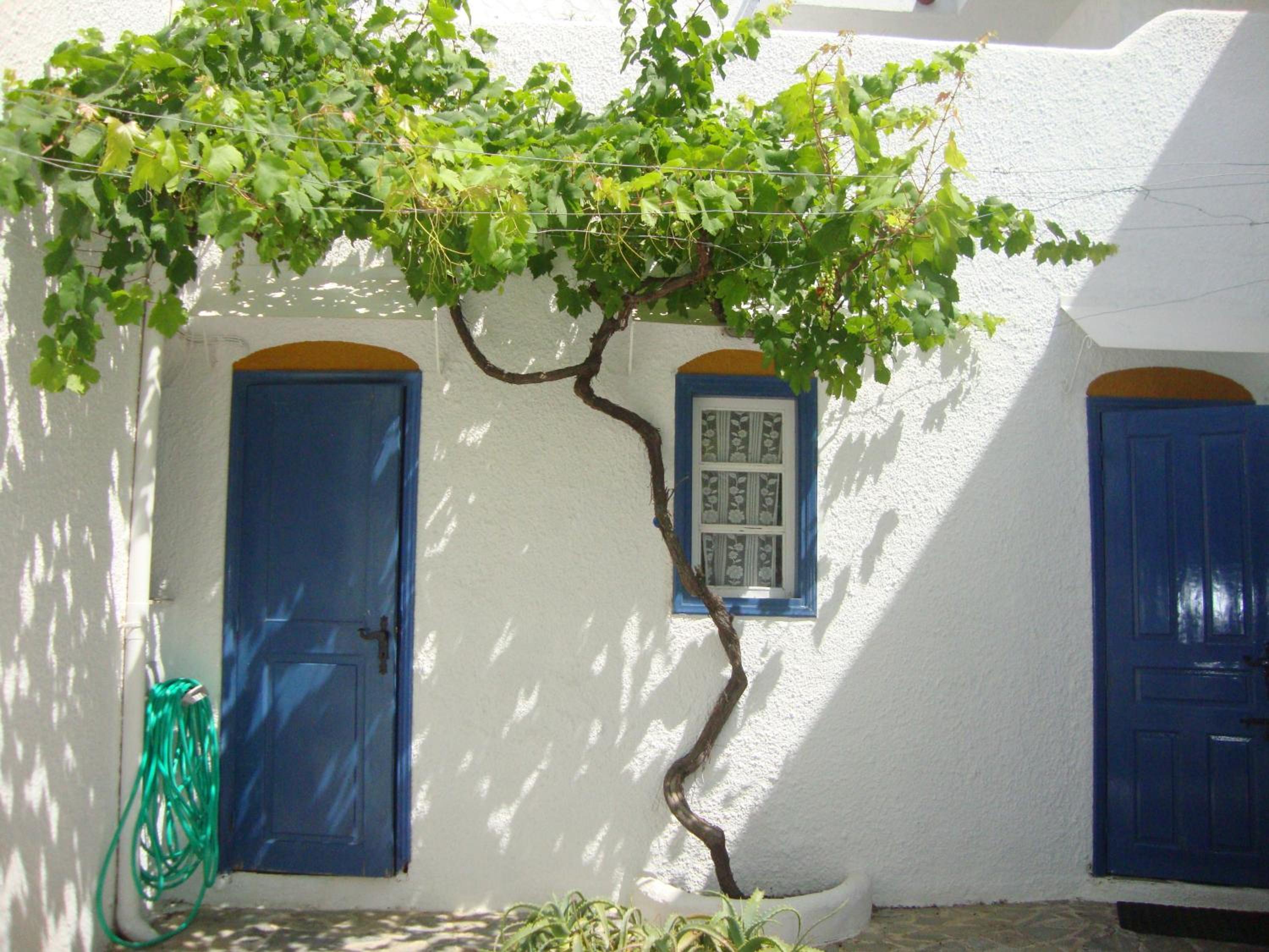 Photo 44