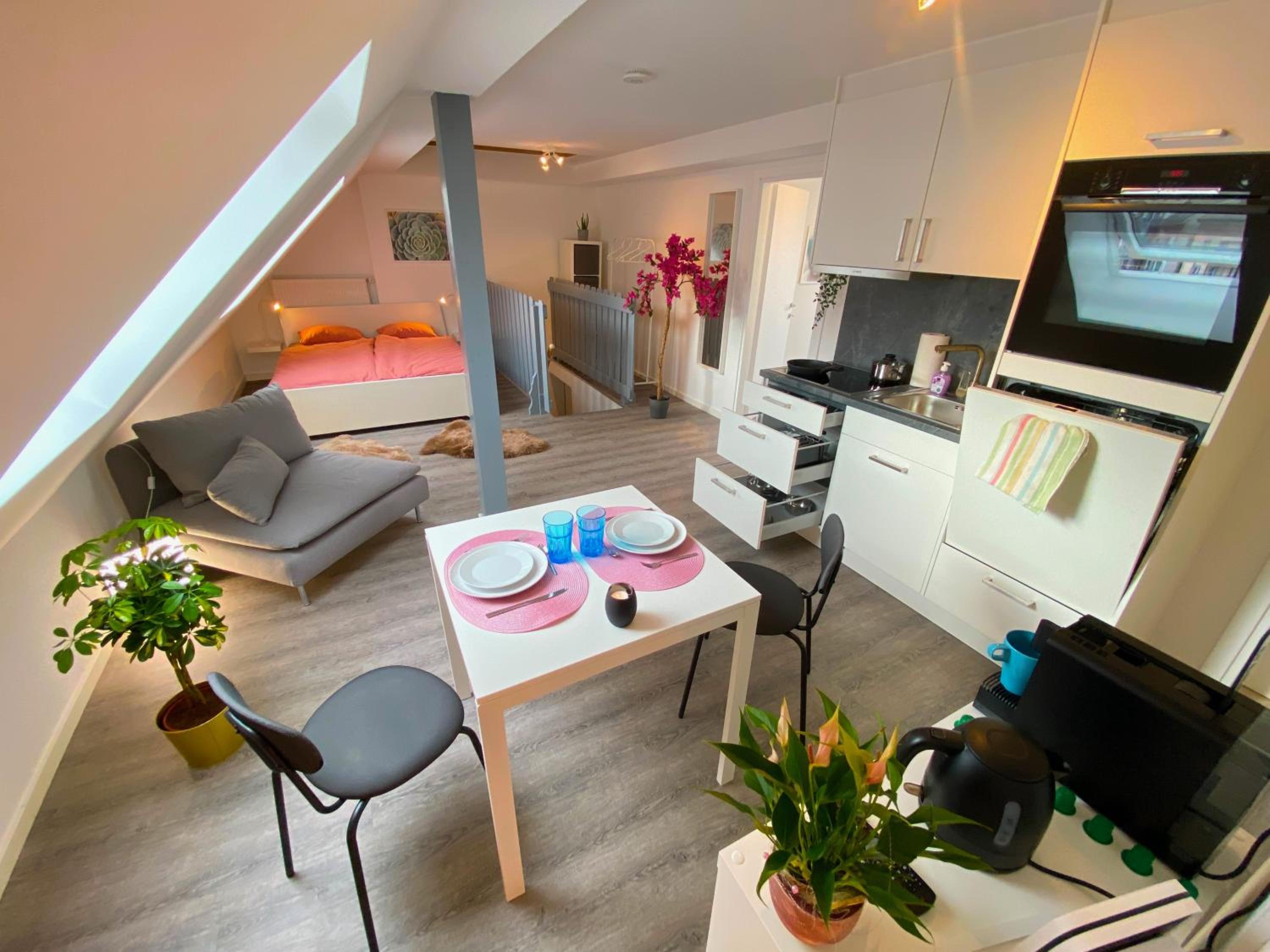 Ruhige, neue Dachwohnung an Altstadt, nähe Messe
