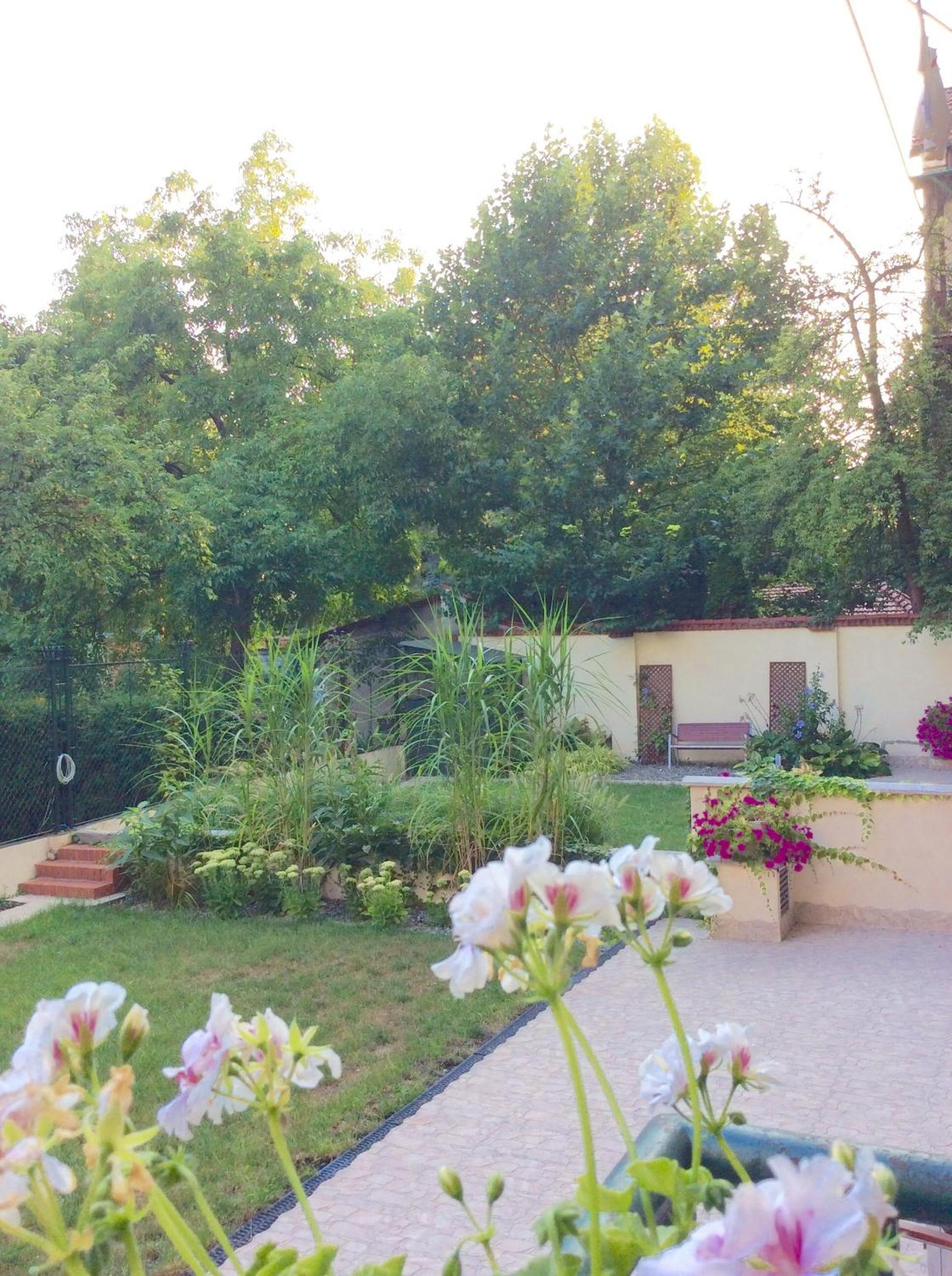 Apartament Amaryllis view 3