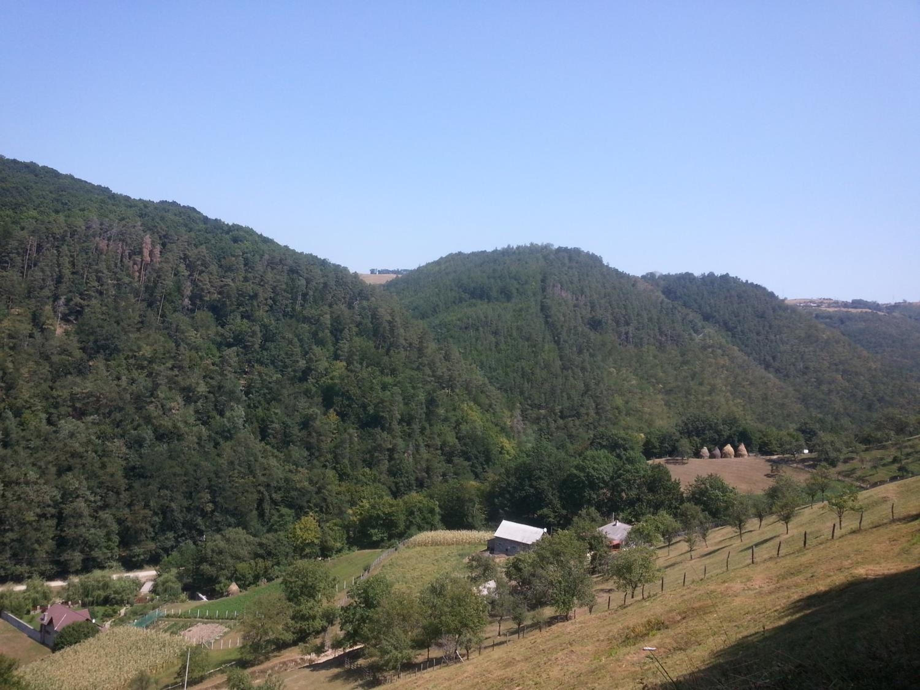 Photo 44