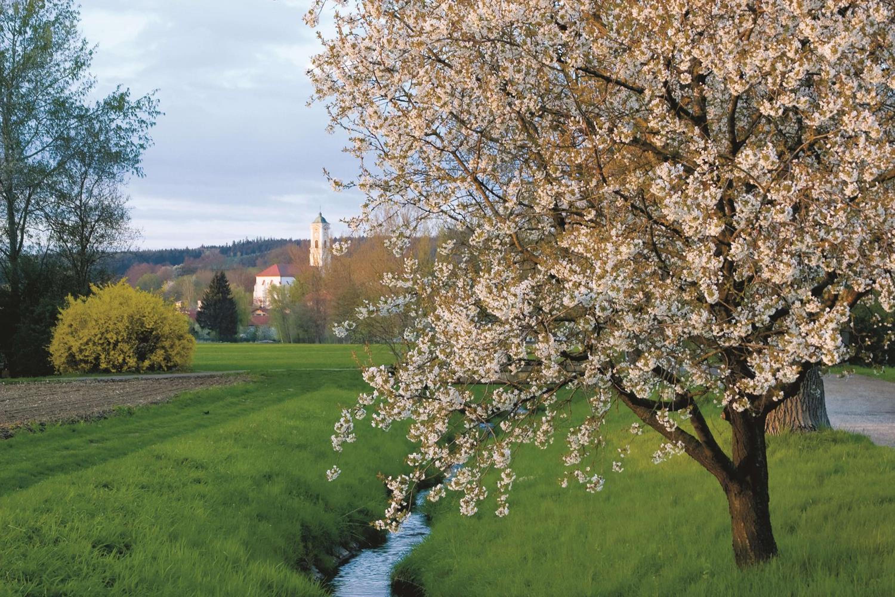 Bad Birnbach Vacations - Best Western Aparthotel Birnbachhohe - Property Image 5