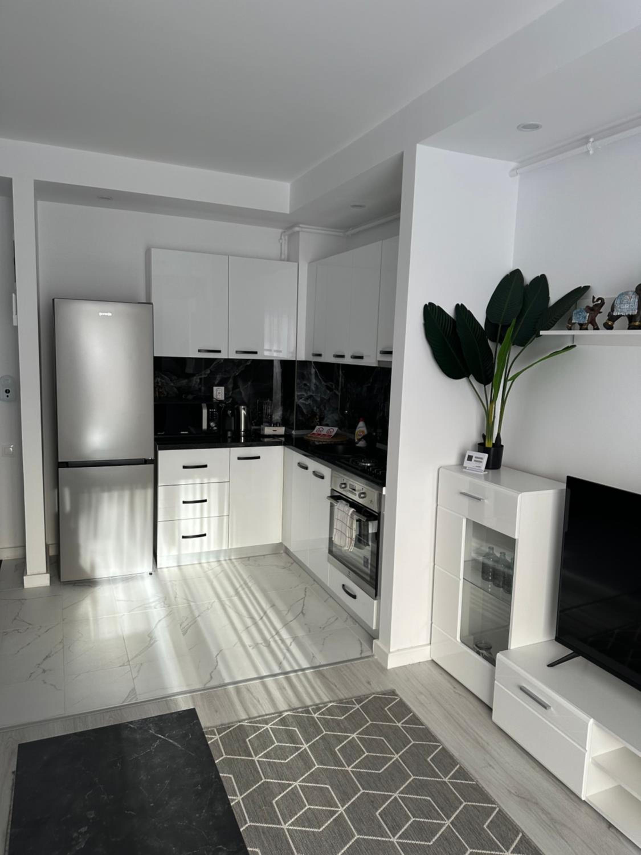 Adagio apartment