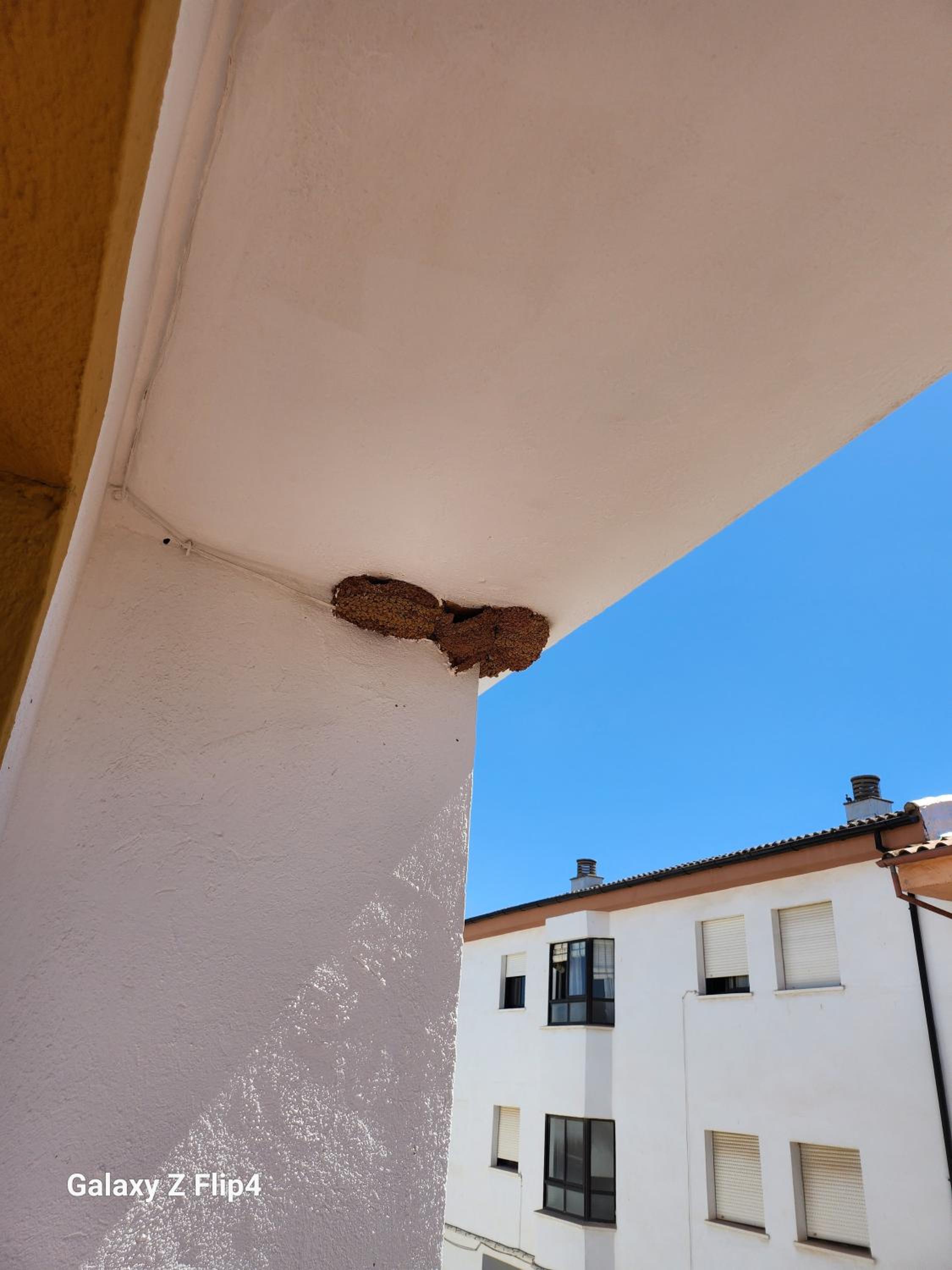 La Casa de las Golondrinas