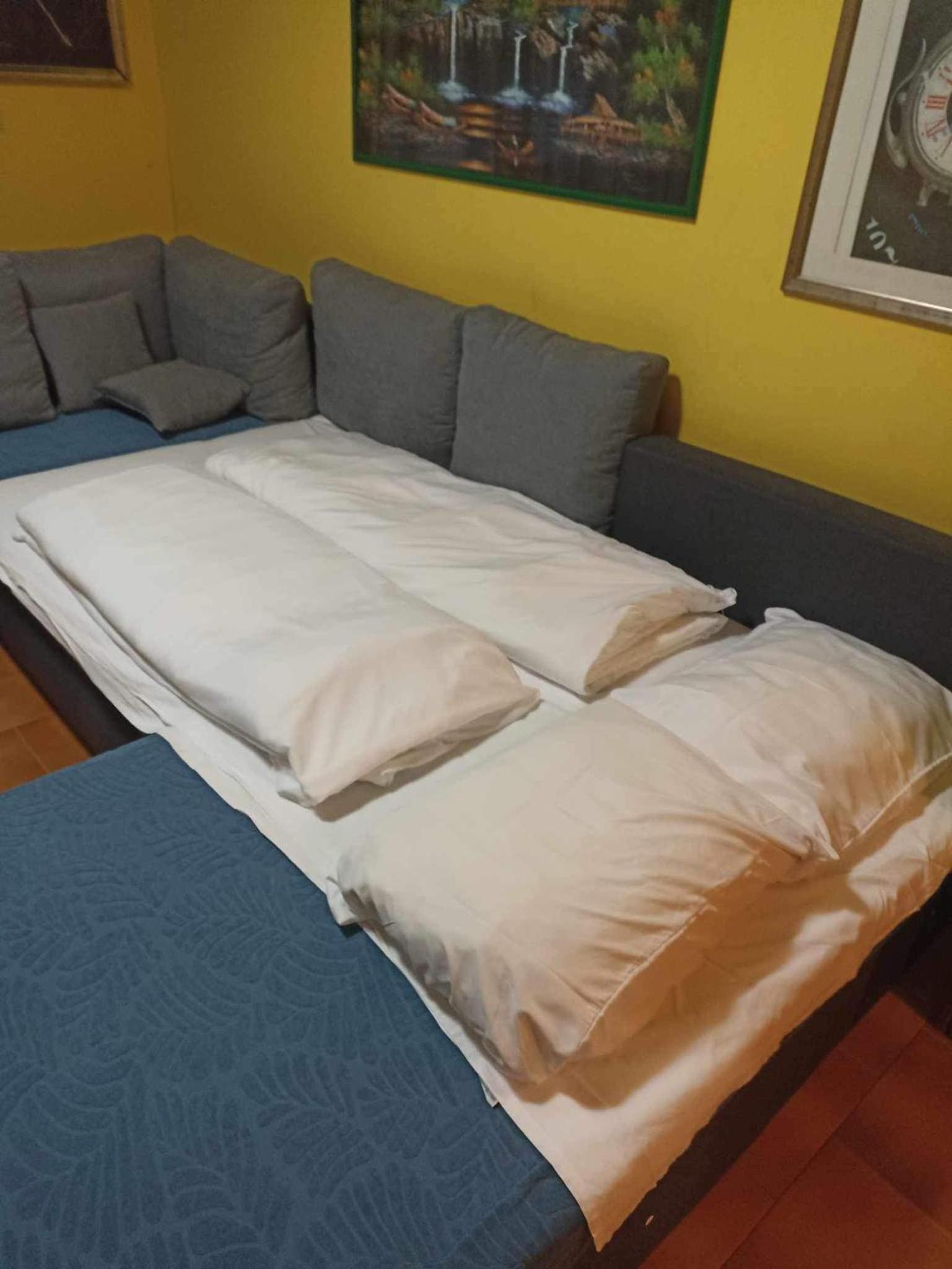 Orchidea