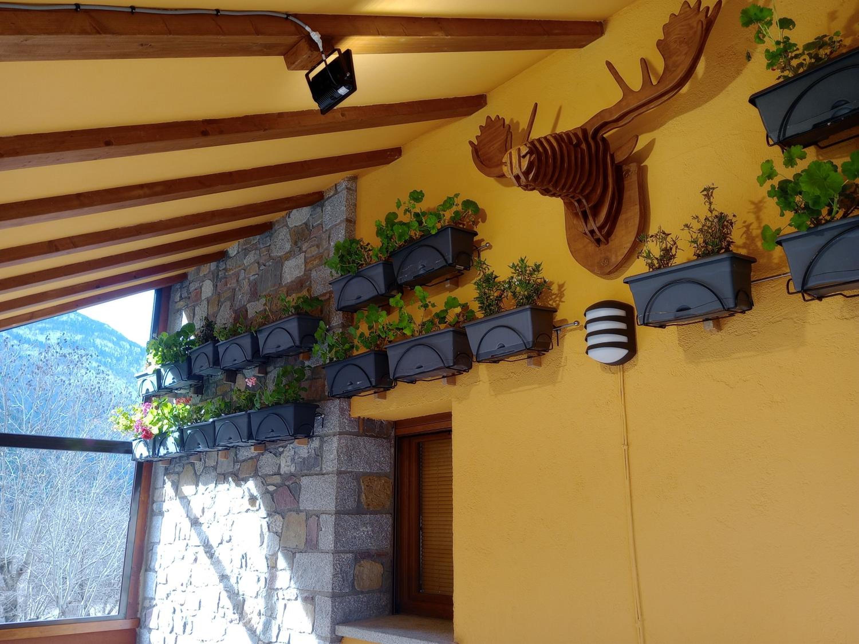 Casa Ferro