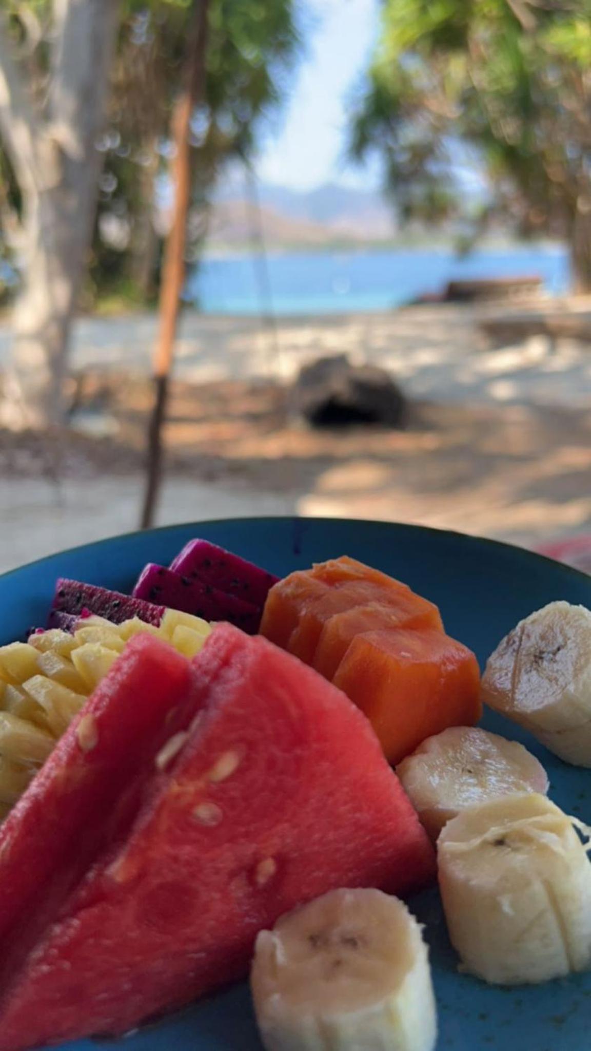 Avocado homestay