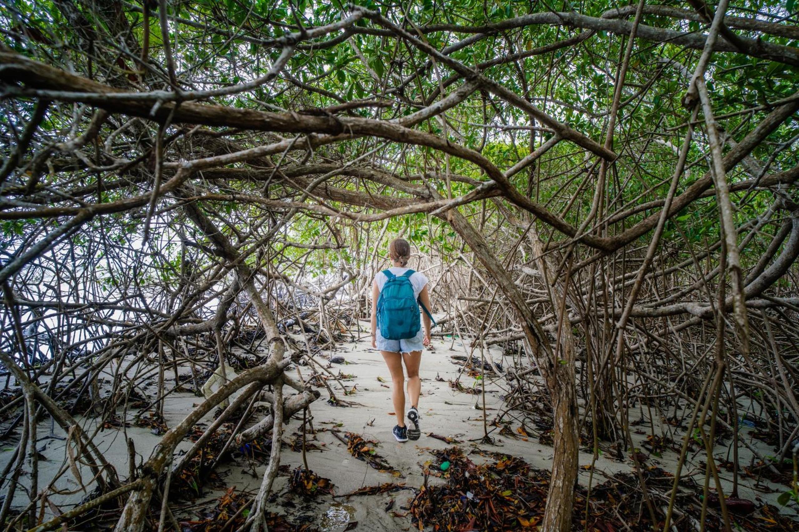 Casa Del Mar Al Alma - Property Image 26