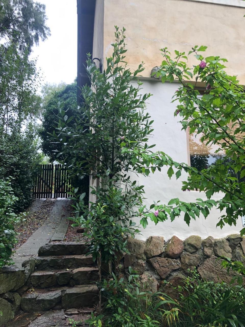 Cabañas Los Aromos
