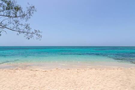 Hospitality Expert CPA3 Pool Beach Hip Strip view 4
