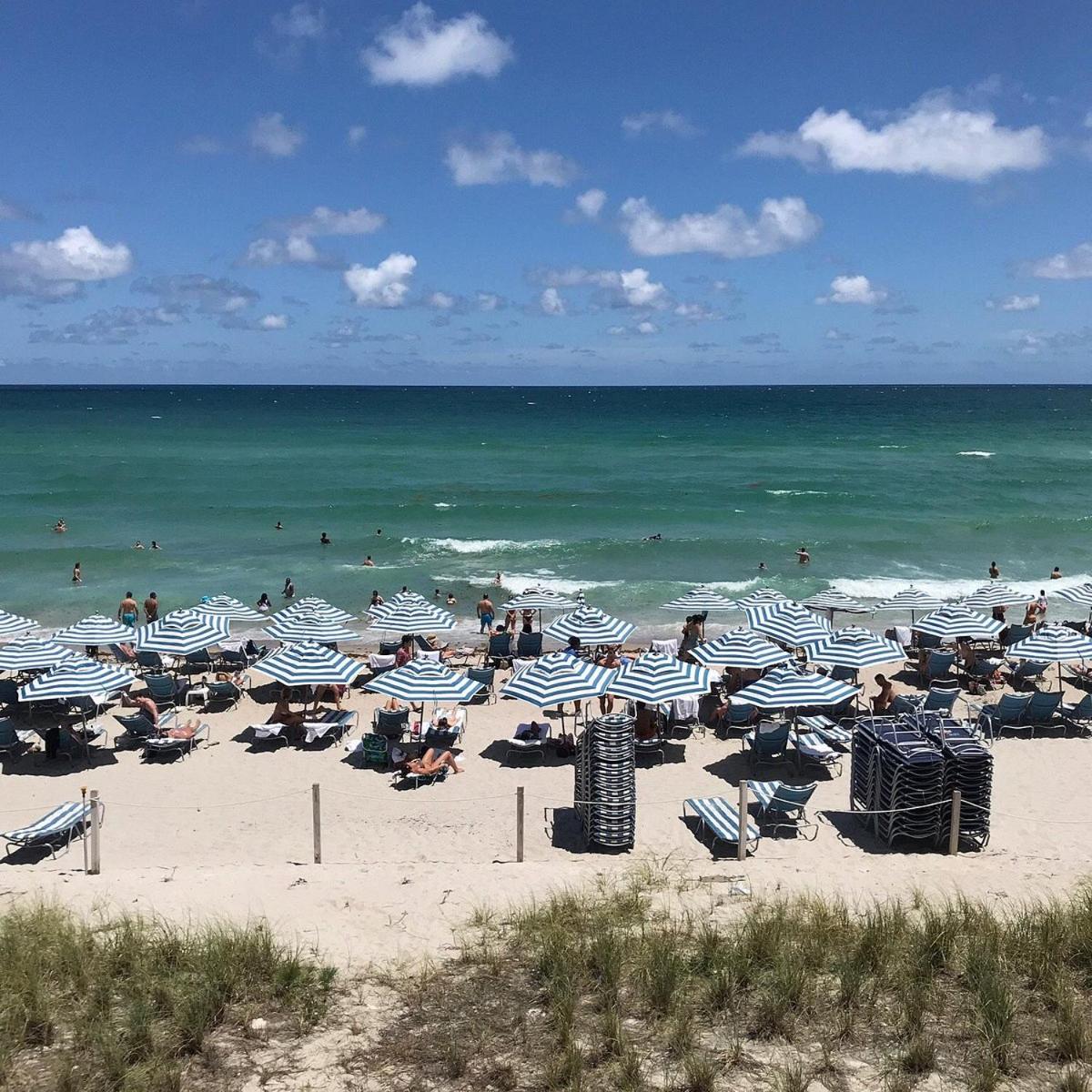 Walk to the beach, Studio, with Pool and FREE Parking view 5