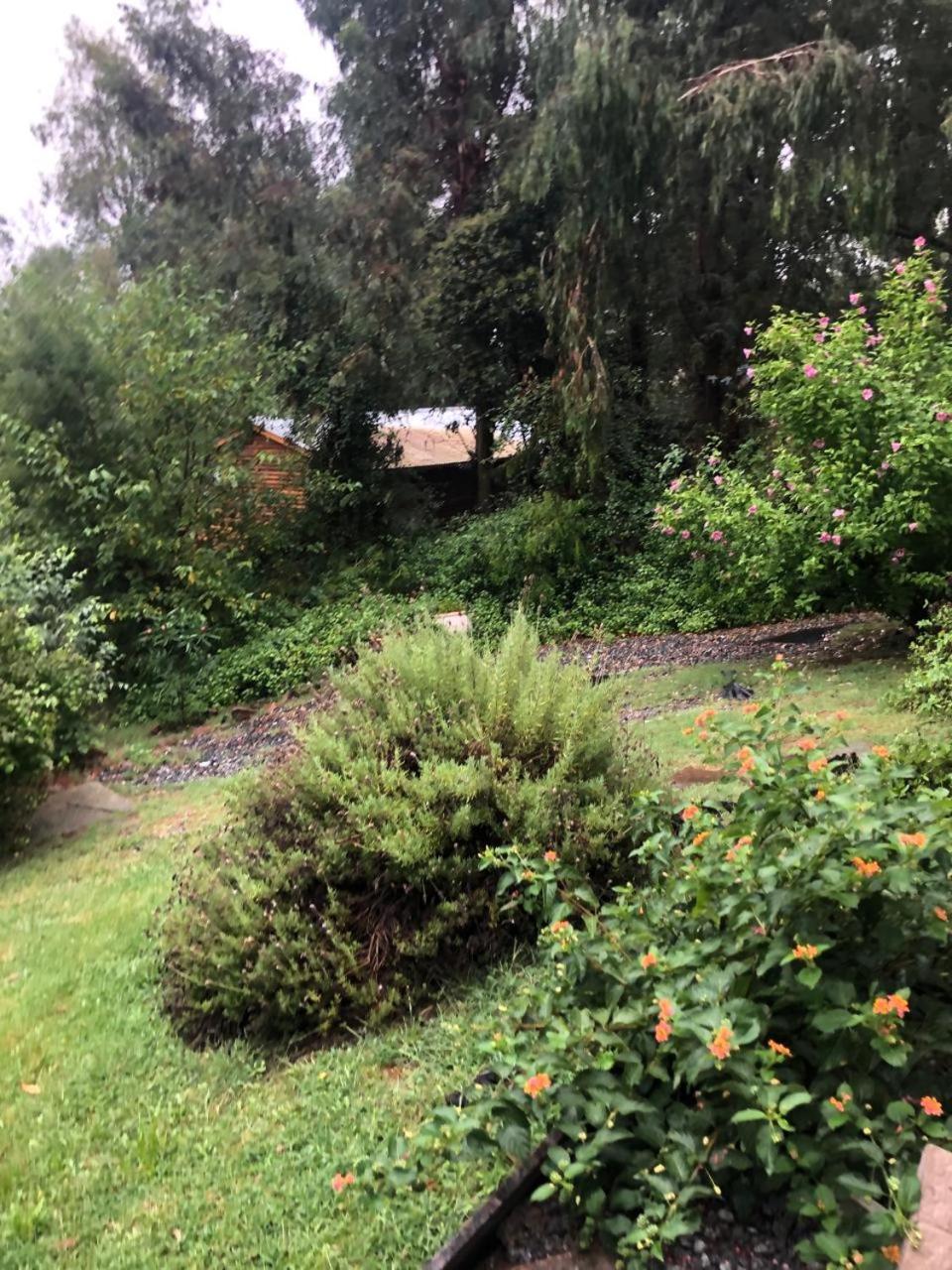 Cabañas Los Aromos