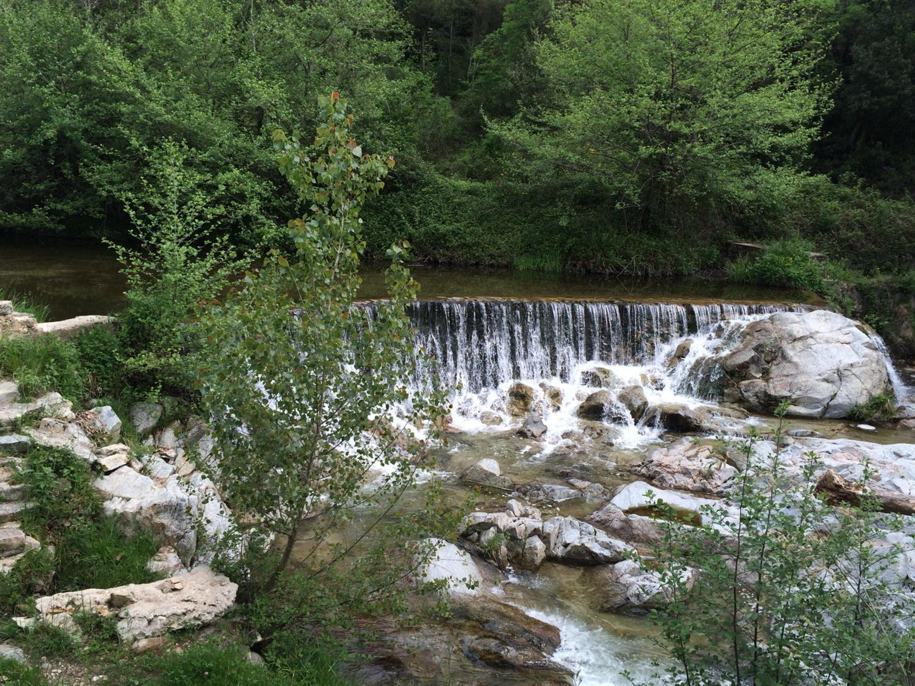 Photo 43