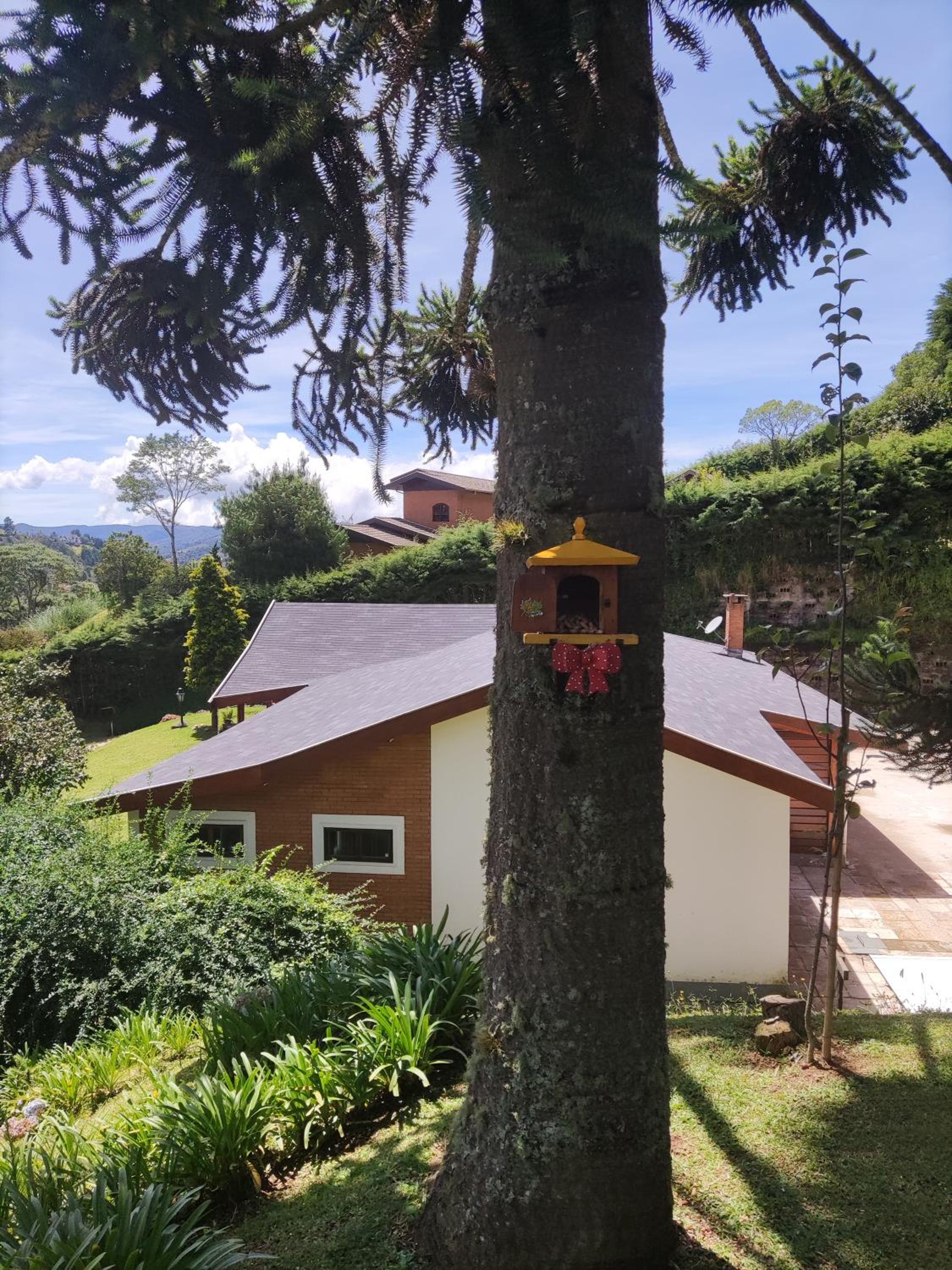 Chalé Alecrin, lançamento em conforto e estilo!