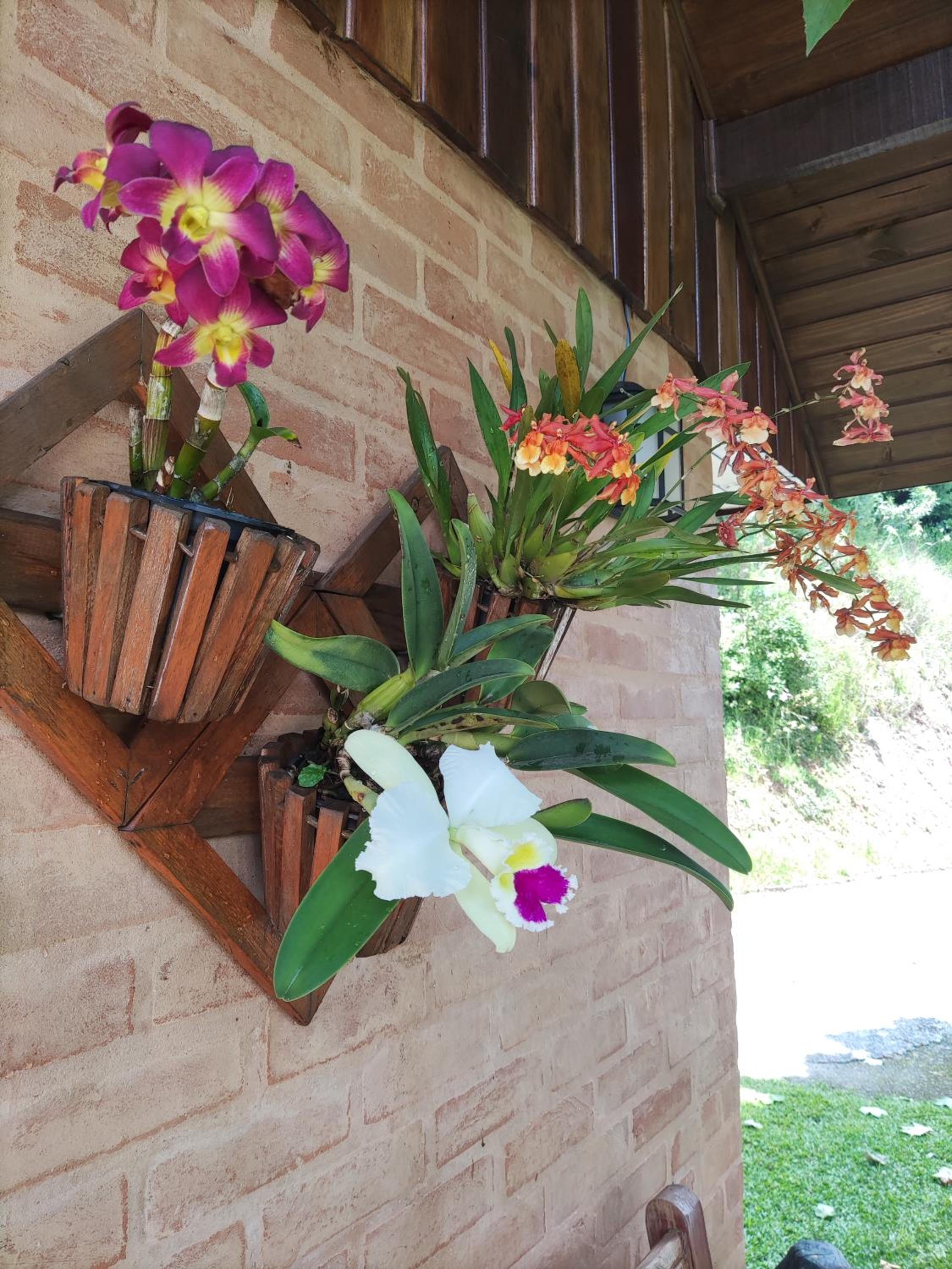 Chalé Alecrin, lançamento em conforto e estilo!