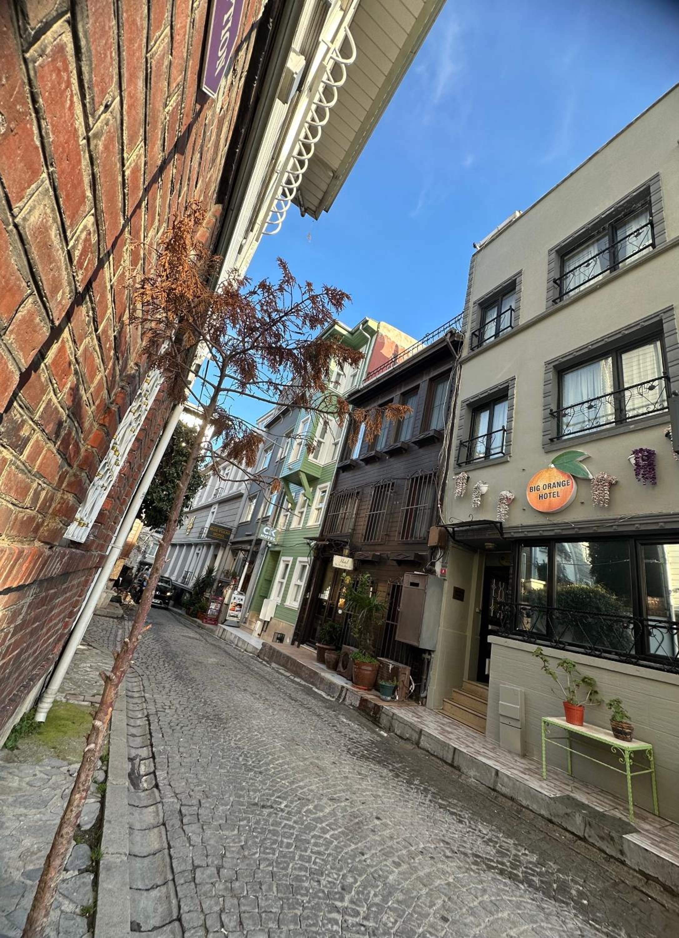 BİG ORANGE OTEL - Image 168