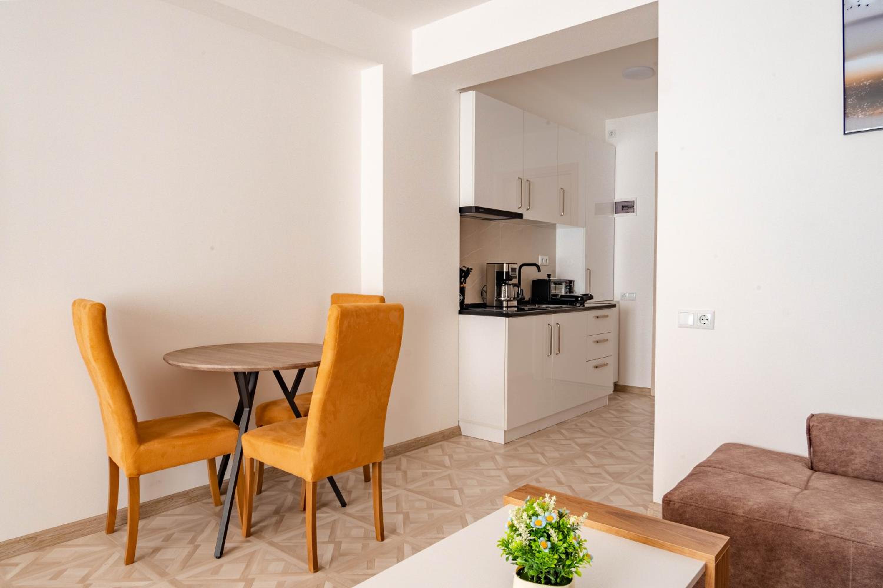 Evdo Apartments F4 Flat Studio view 2