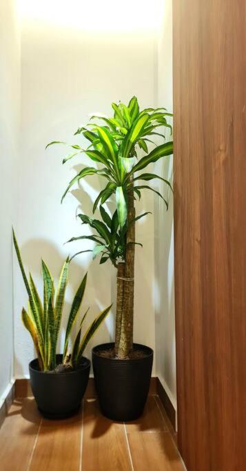 Mahkota Crown Haven Apartment, near A'Farmosa & Jonker photo 7