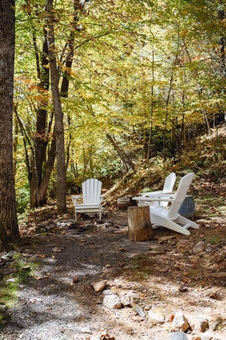 Serene & Cozy - Peaceful View - Fireplace - Creek view 4