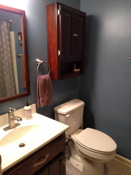Photo 41