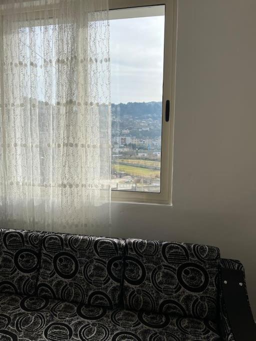 Shehu Apartment