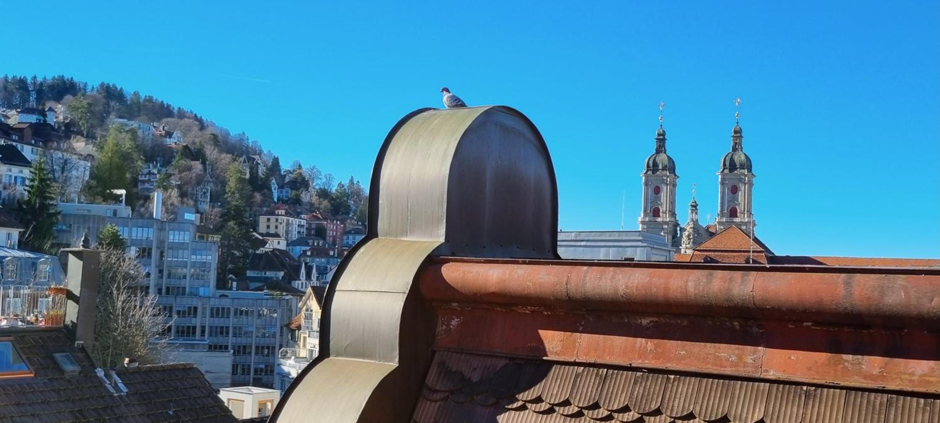 Ruhige, neue Dachwohnung an Altstadt, nähe Messe