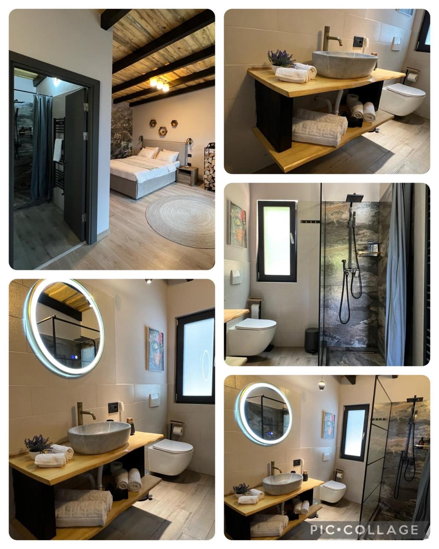 ACASĂ la Lisa