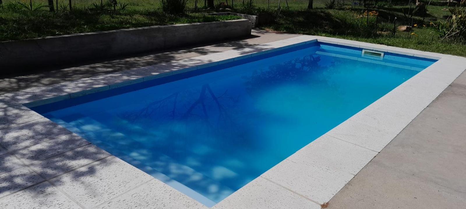 Los Agapantos