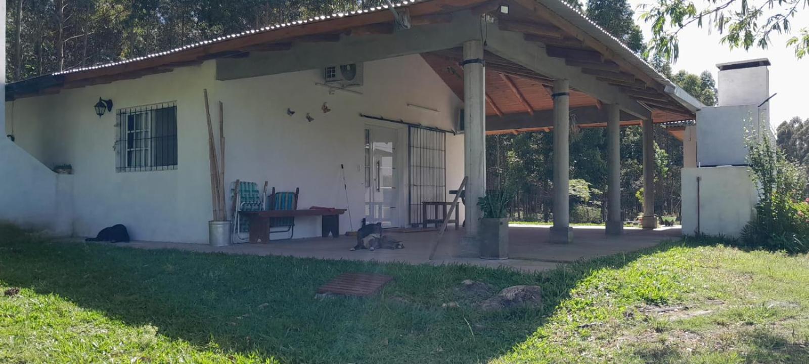 Los Agapantos