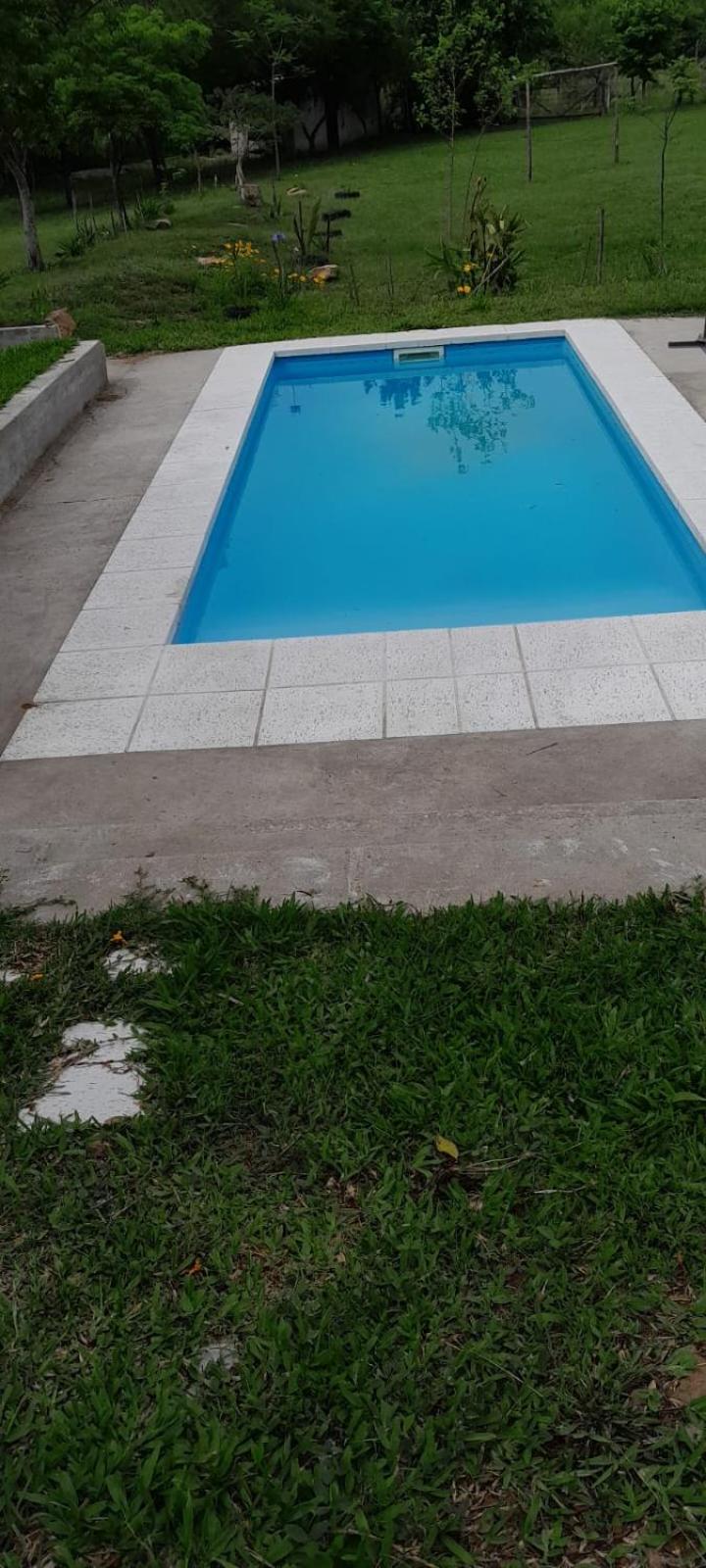 Los Agapantos