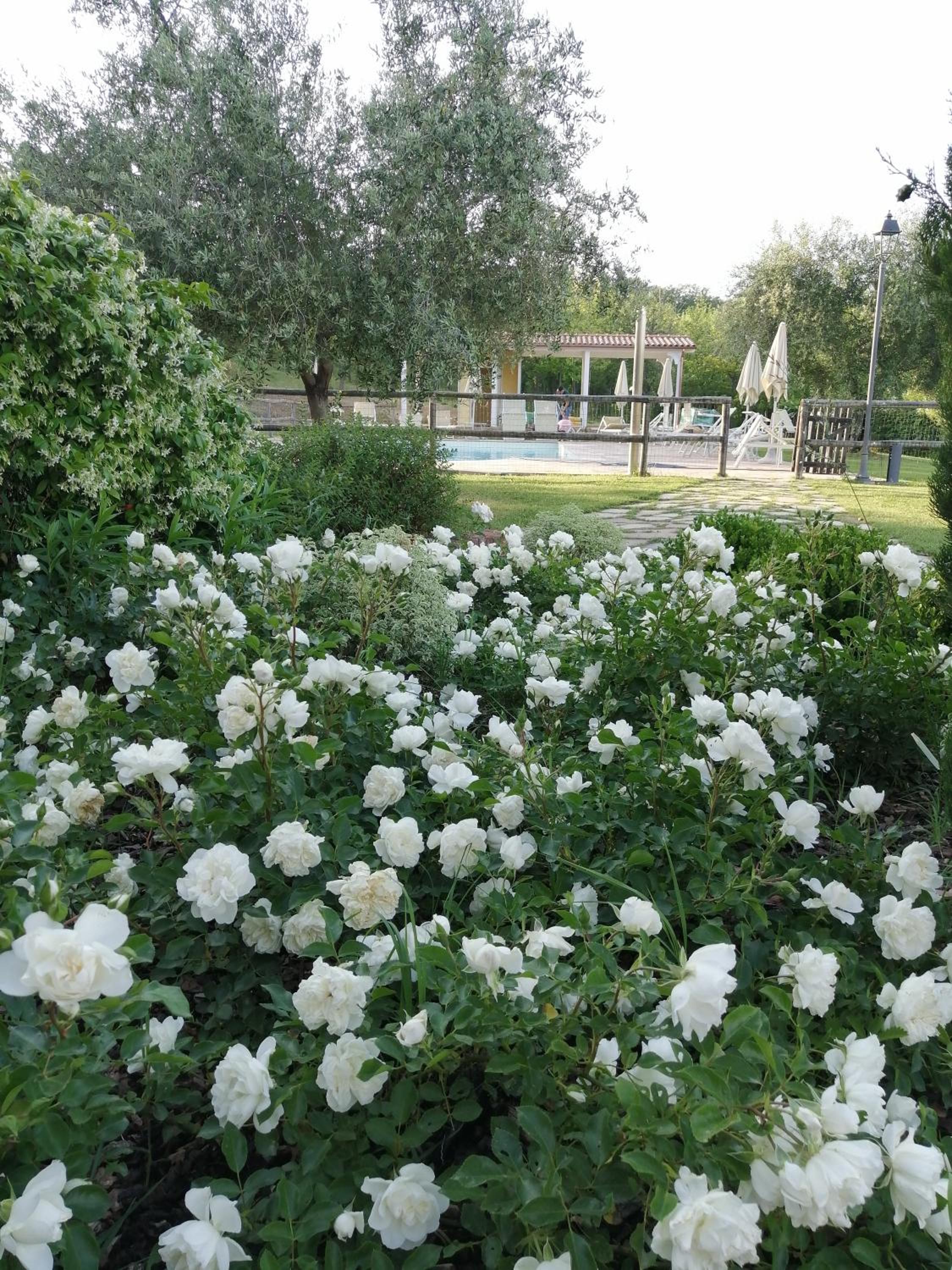 Agriturismo Villa Beatrice view 2