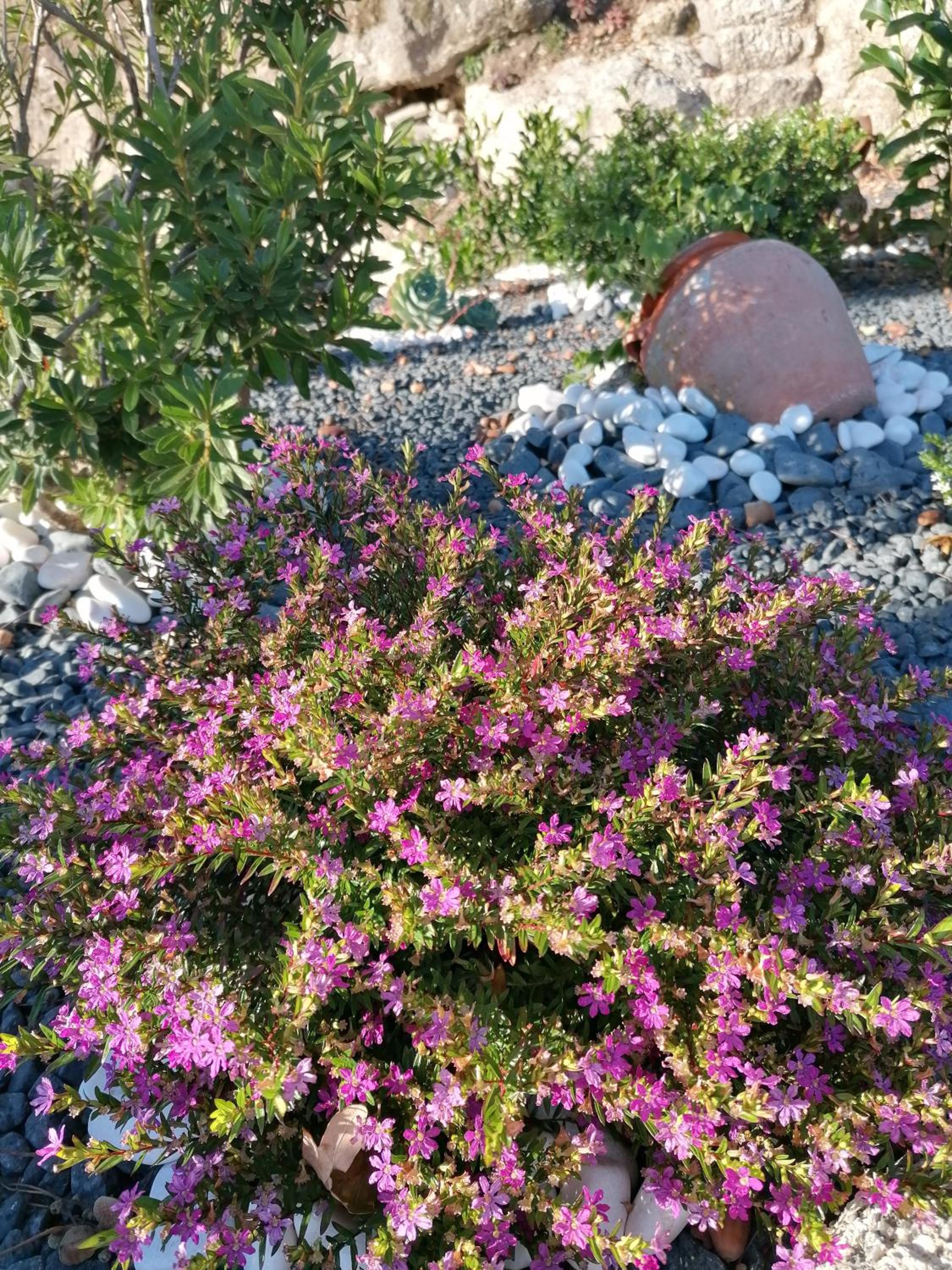 Photo 34