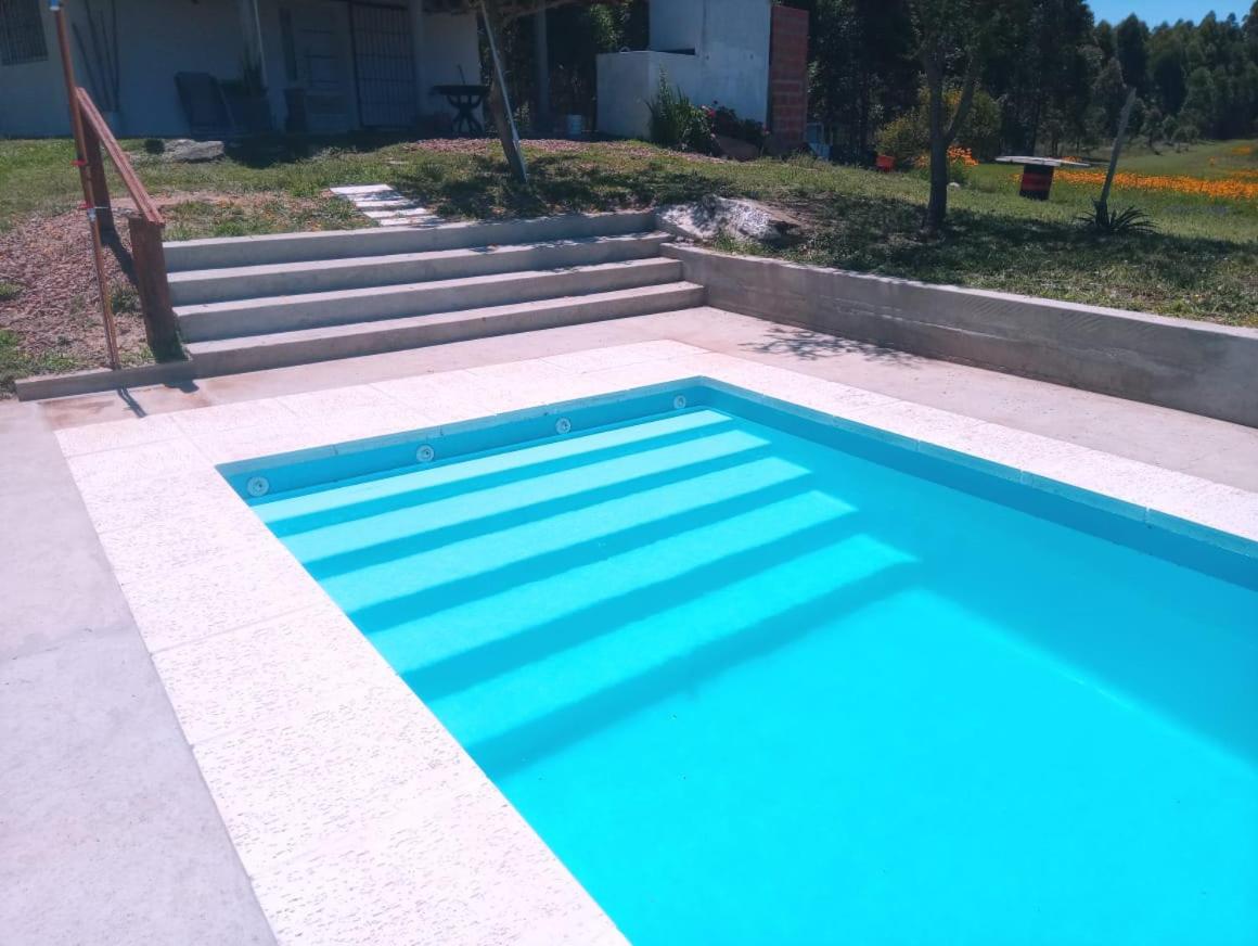 Los Agapantos
