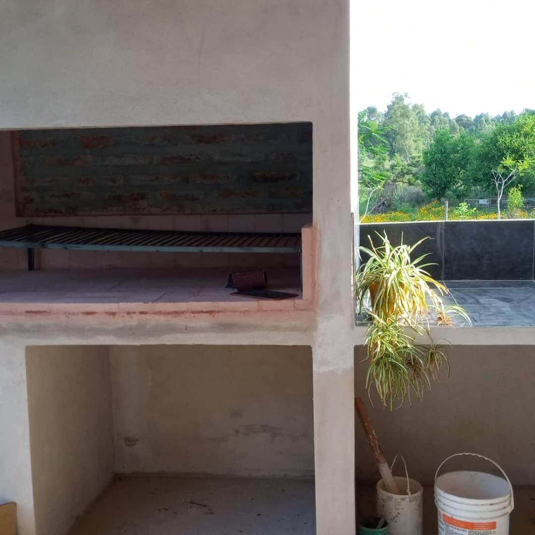 Los Agapantos